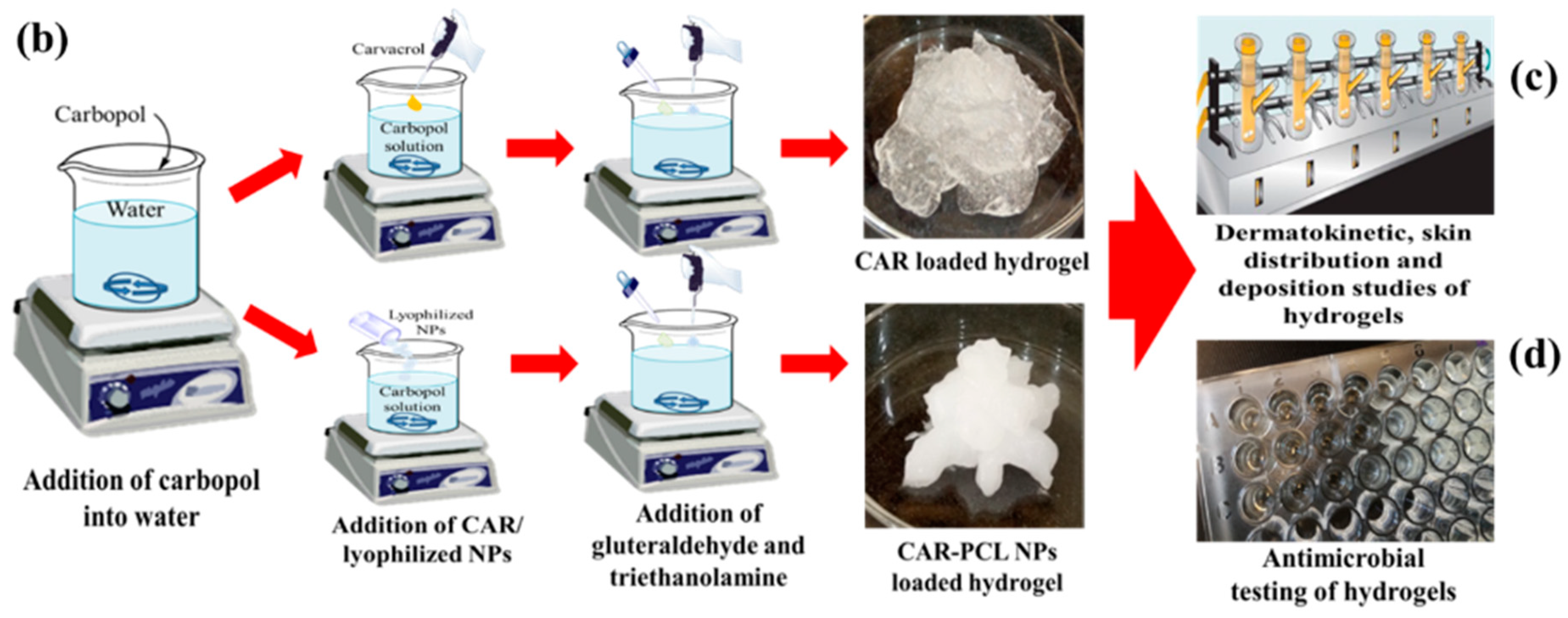 Pharmaceutics 11 00606 g001b