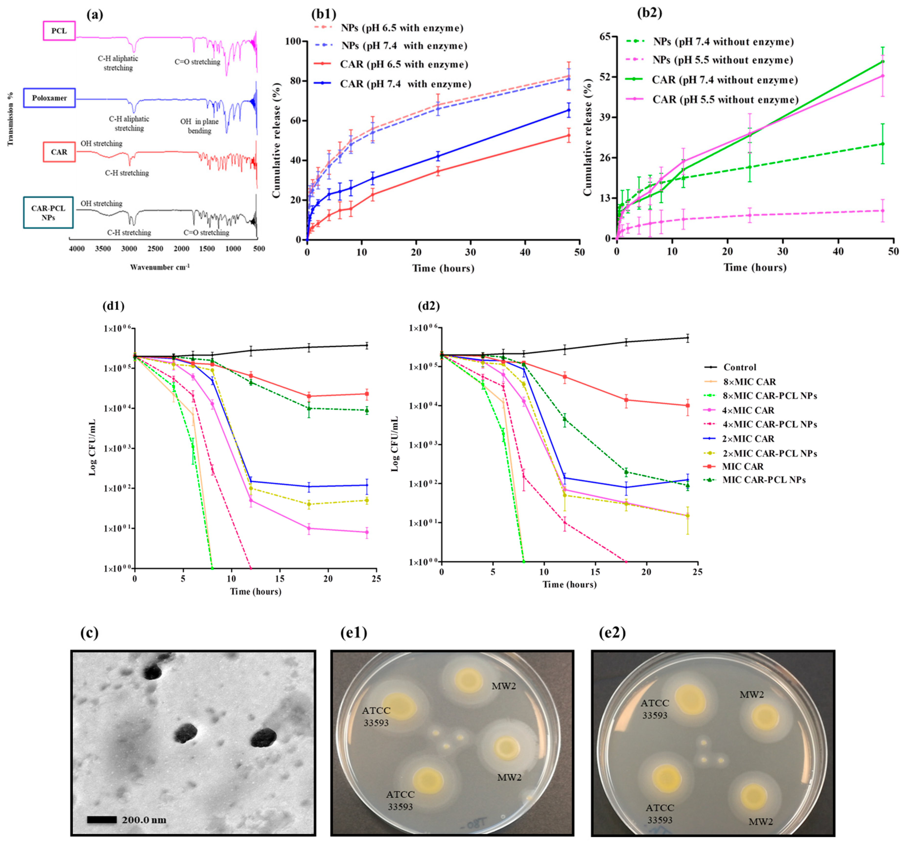 Pharmaceutics 11 00606 g004