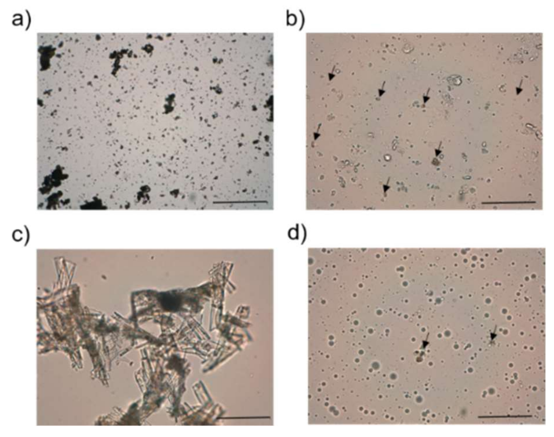 Pharmaceutics 11 00607 g002