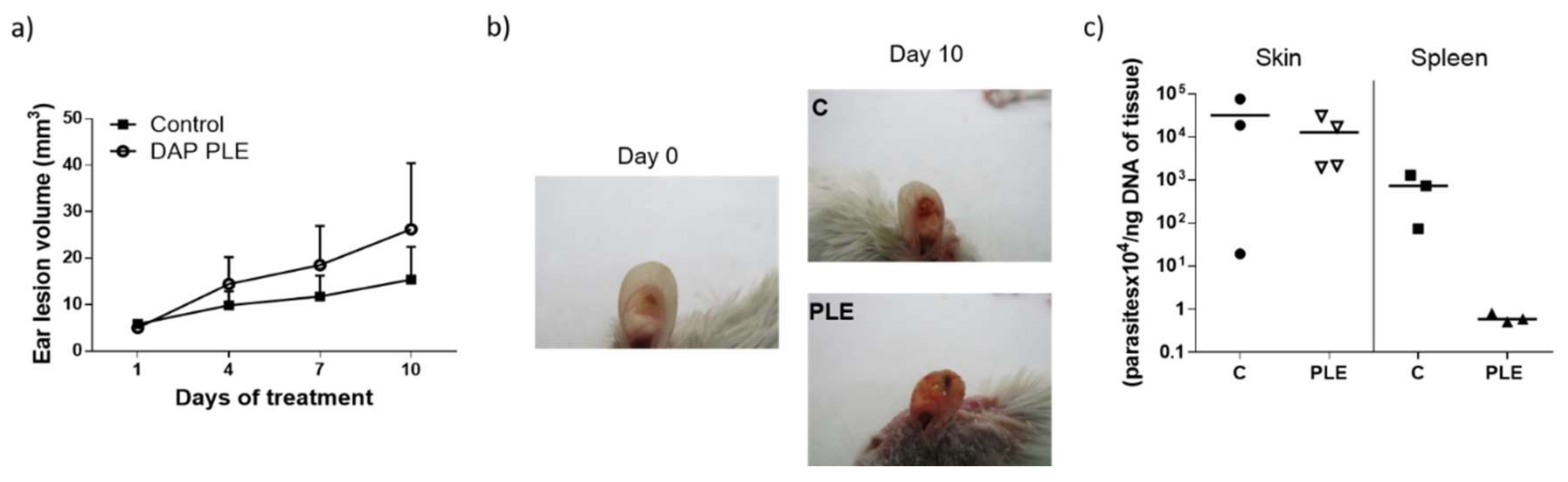 Pharmaceutics 11 00607 g005