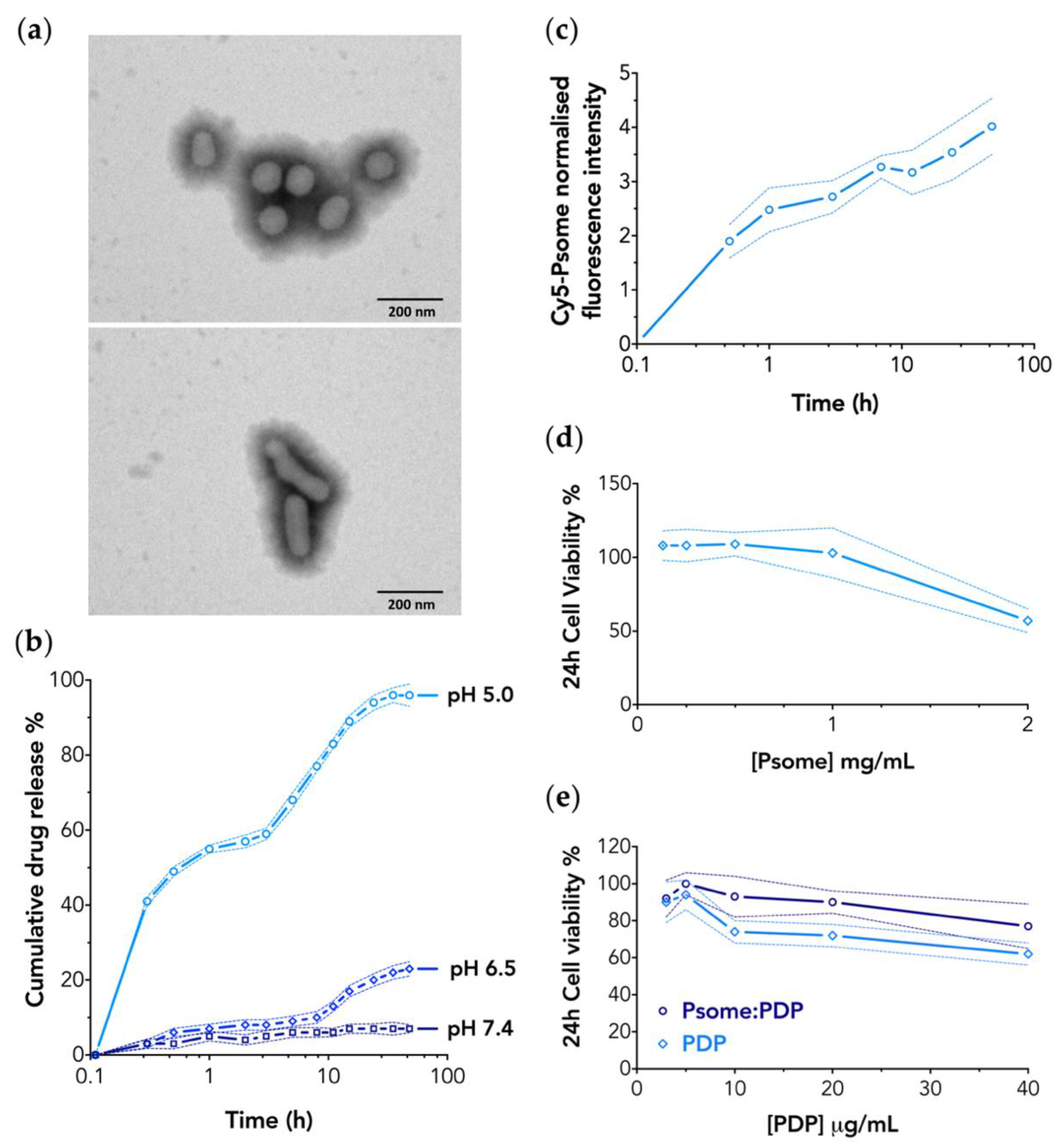 Pharmaceutics 11 00614 g001 Pharmaceutics 11 00614 g001