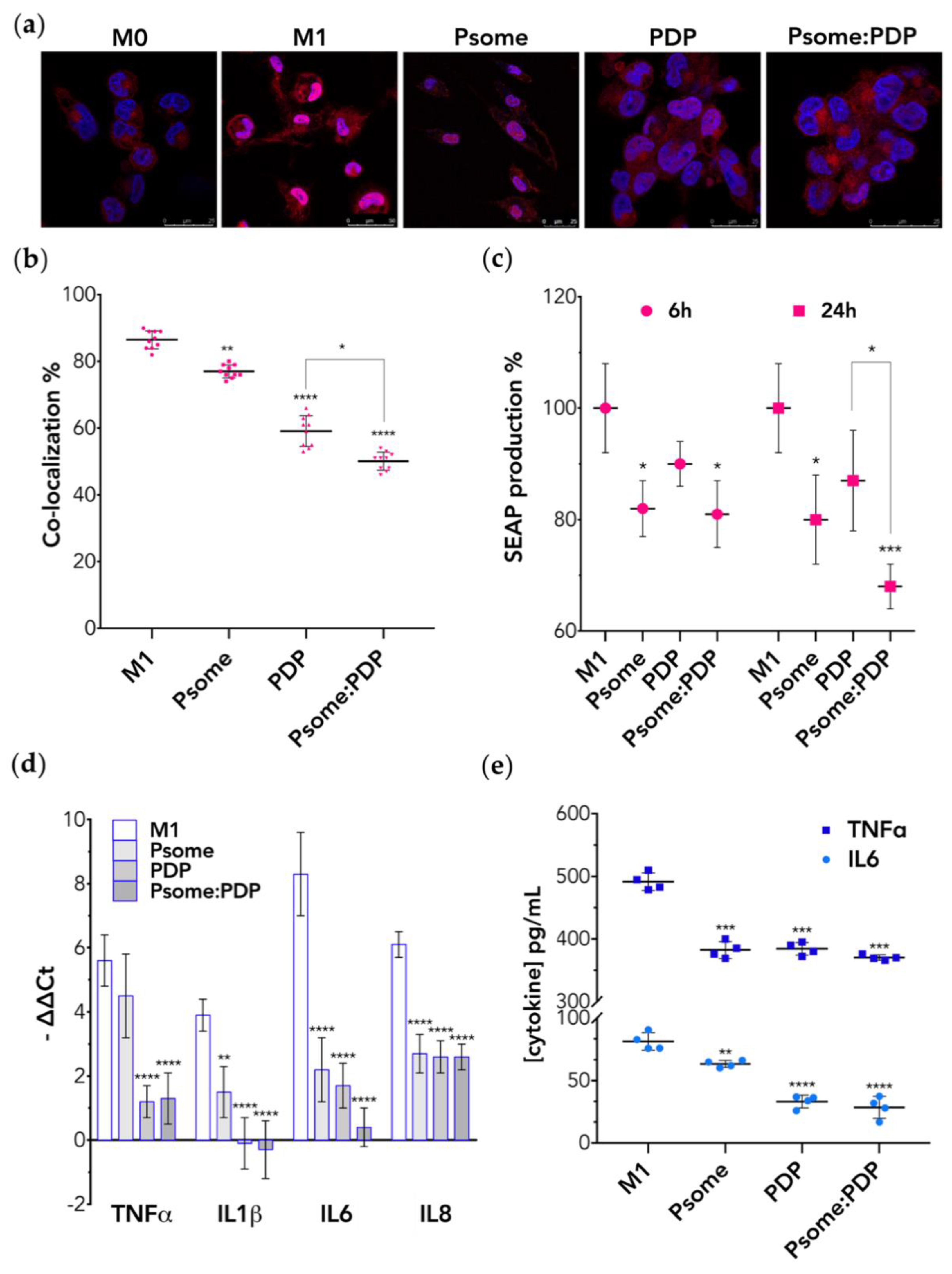 Pharmaceutics 11 00614 g003 Pharmaceutics 11 00614 g003