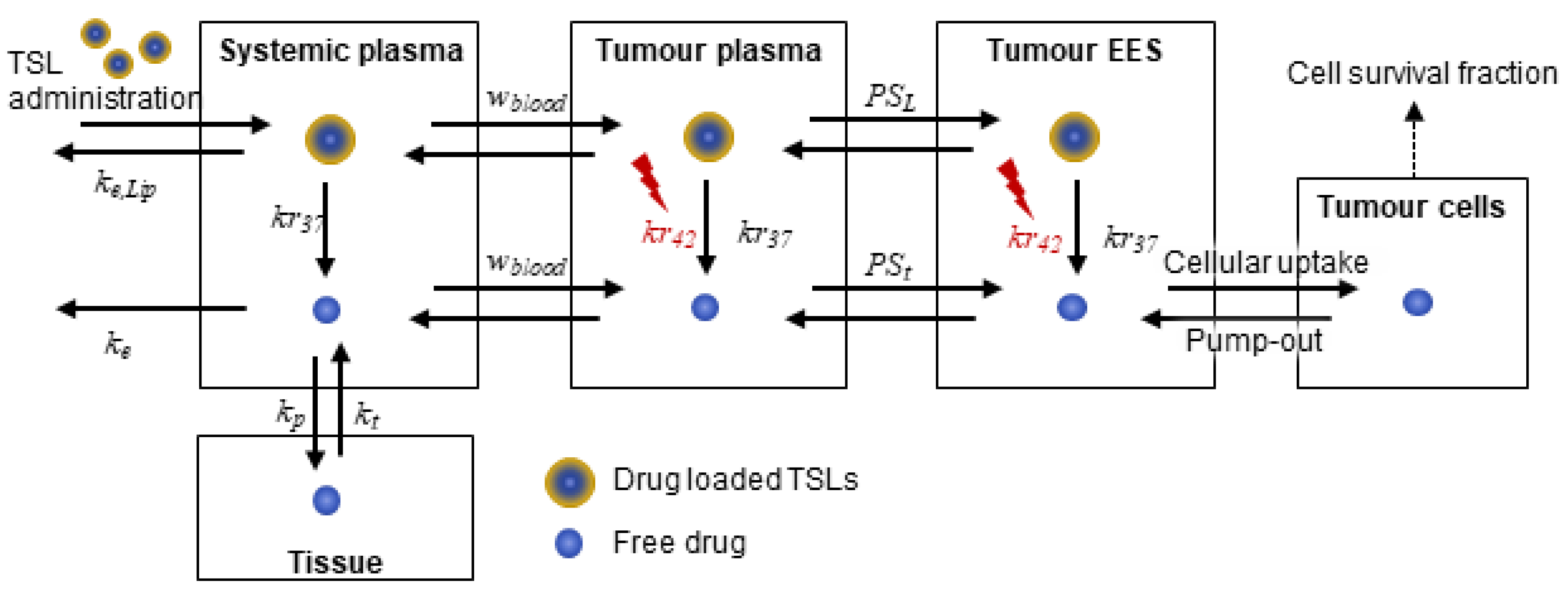 Pharmaceutics 11 00637 g001 Pharmaceutics 11 00637 g001
