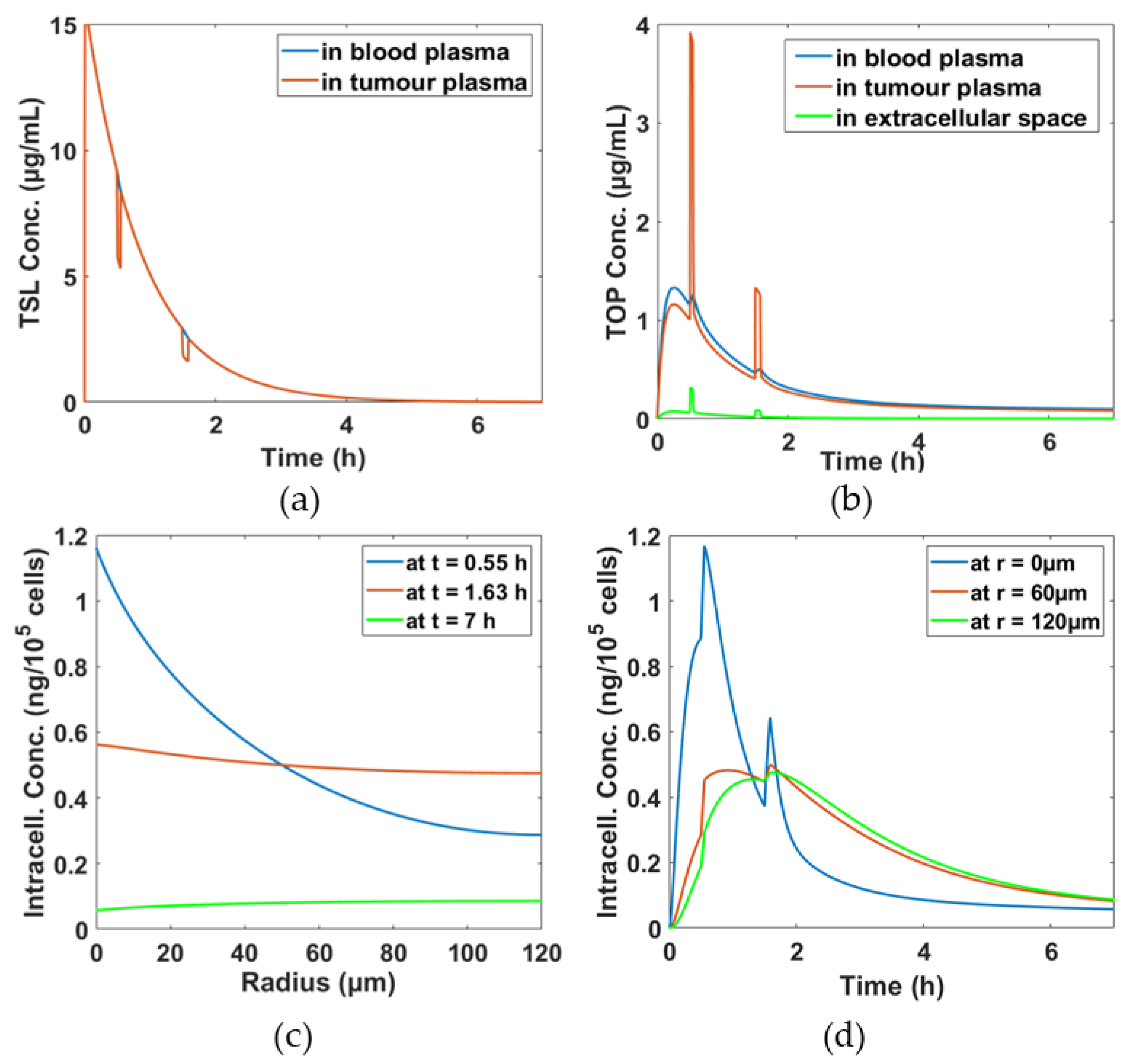Pharmaceutics 11 00637 g002 Pharmaceutics 11 00637 g002