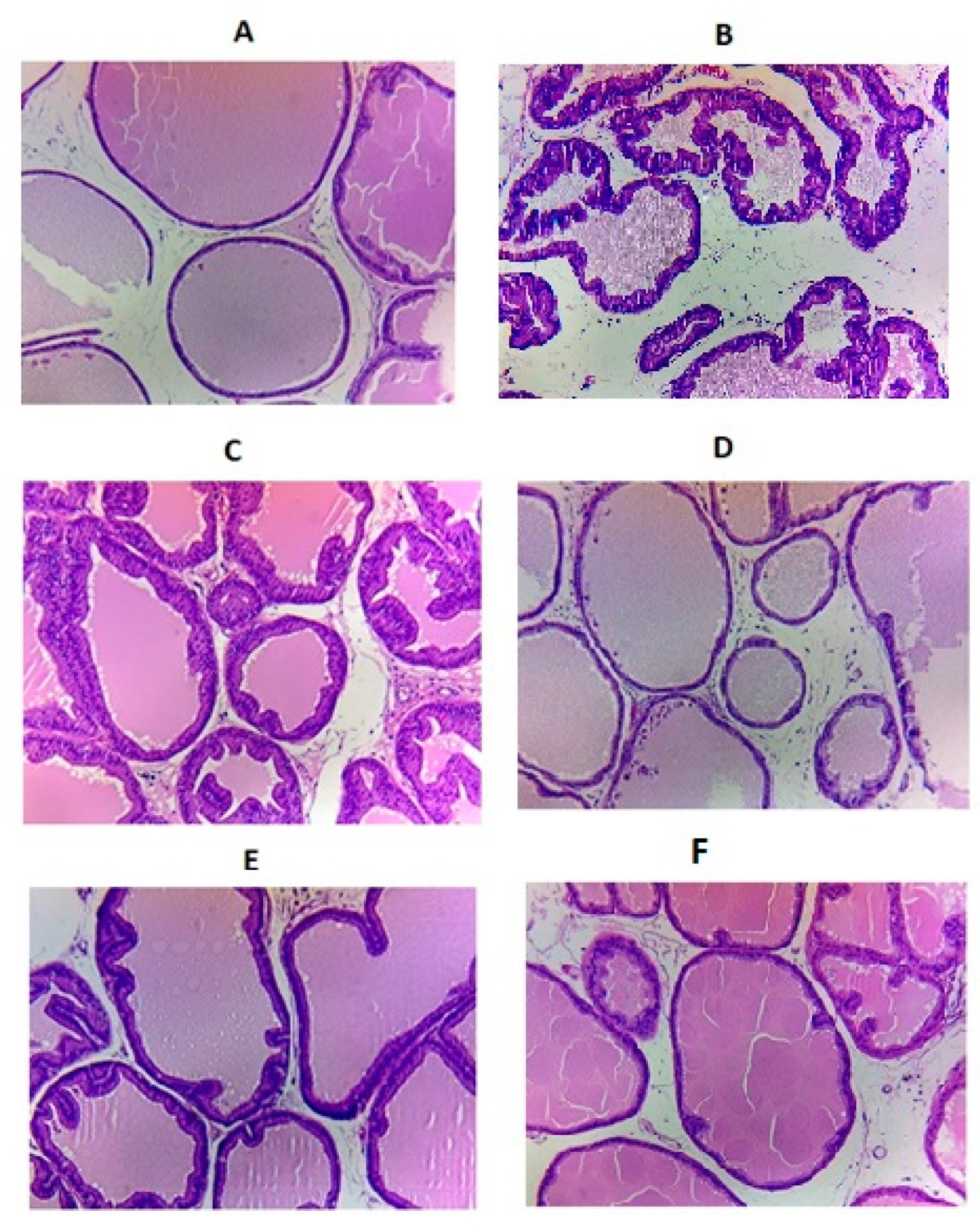 Pharmaceutics 11 00640 g003