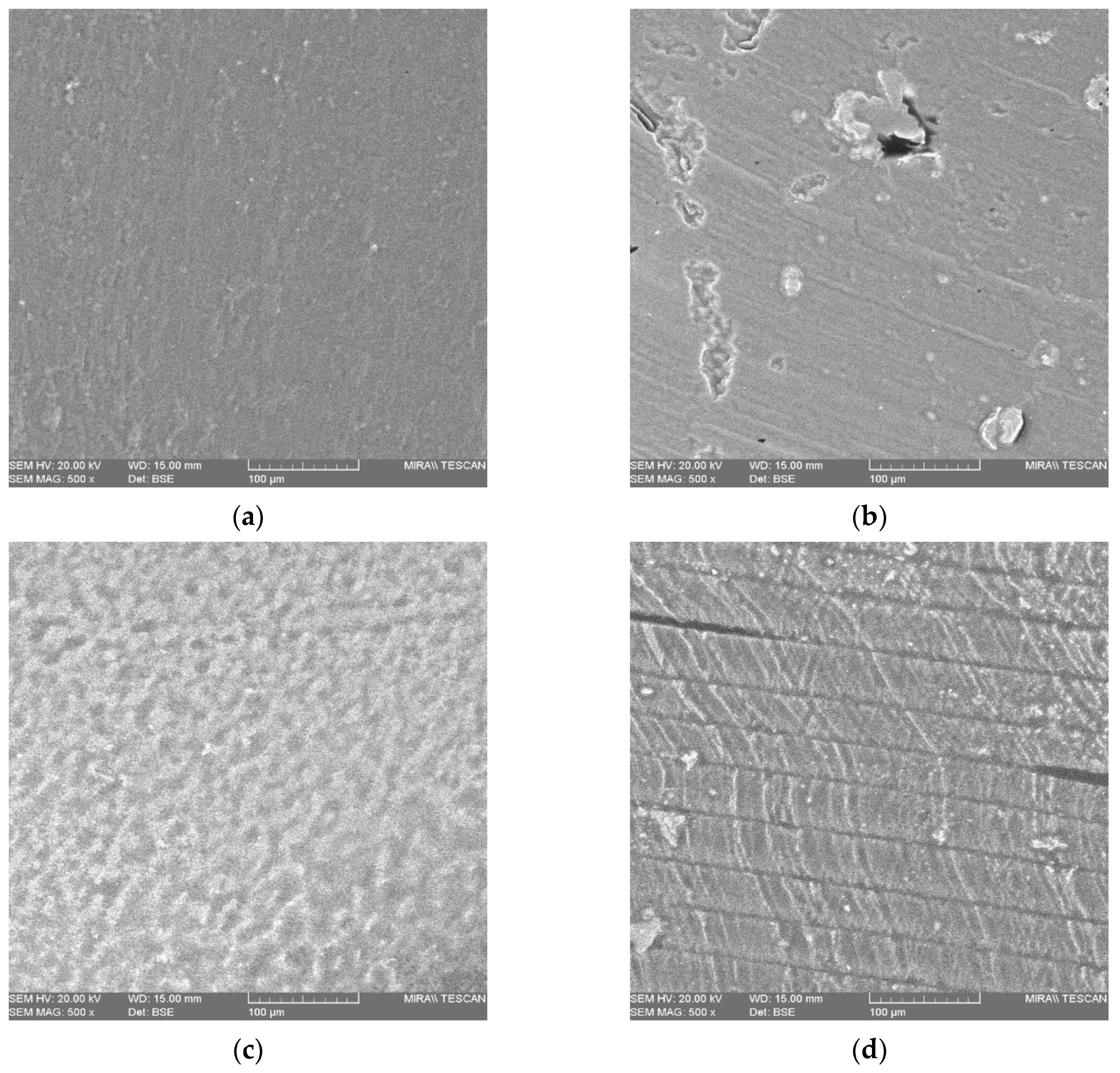 Pharmaceutics 11 00645 g012 Pharmaceutics 11 00645 g012