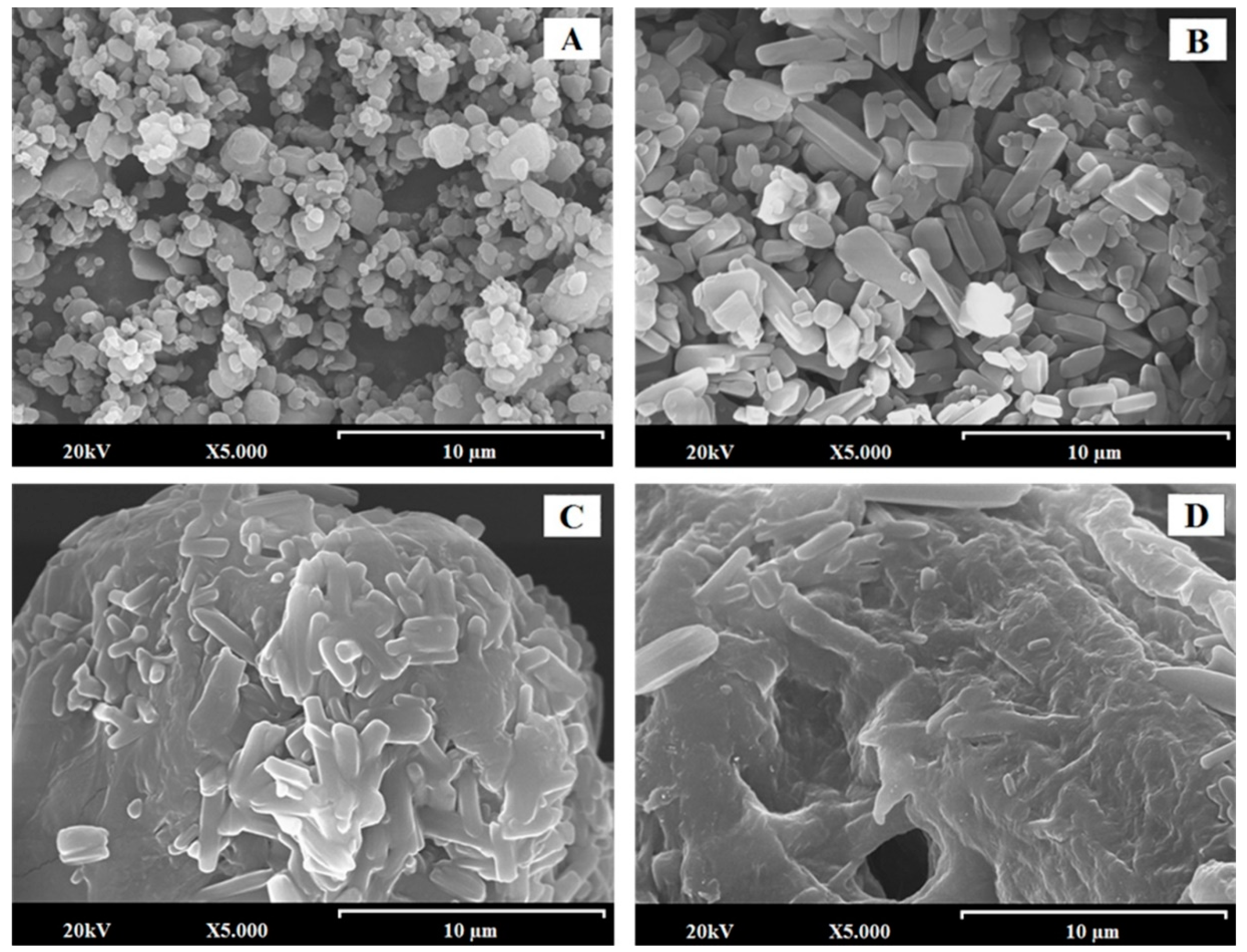 Pharmaceutics 11 00647 g001 Pharmaceutics 11 00647 g001