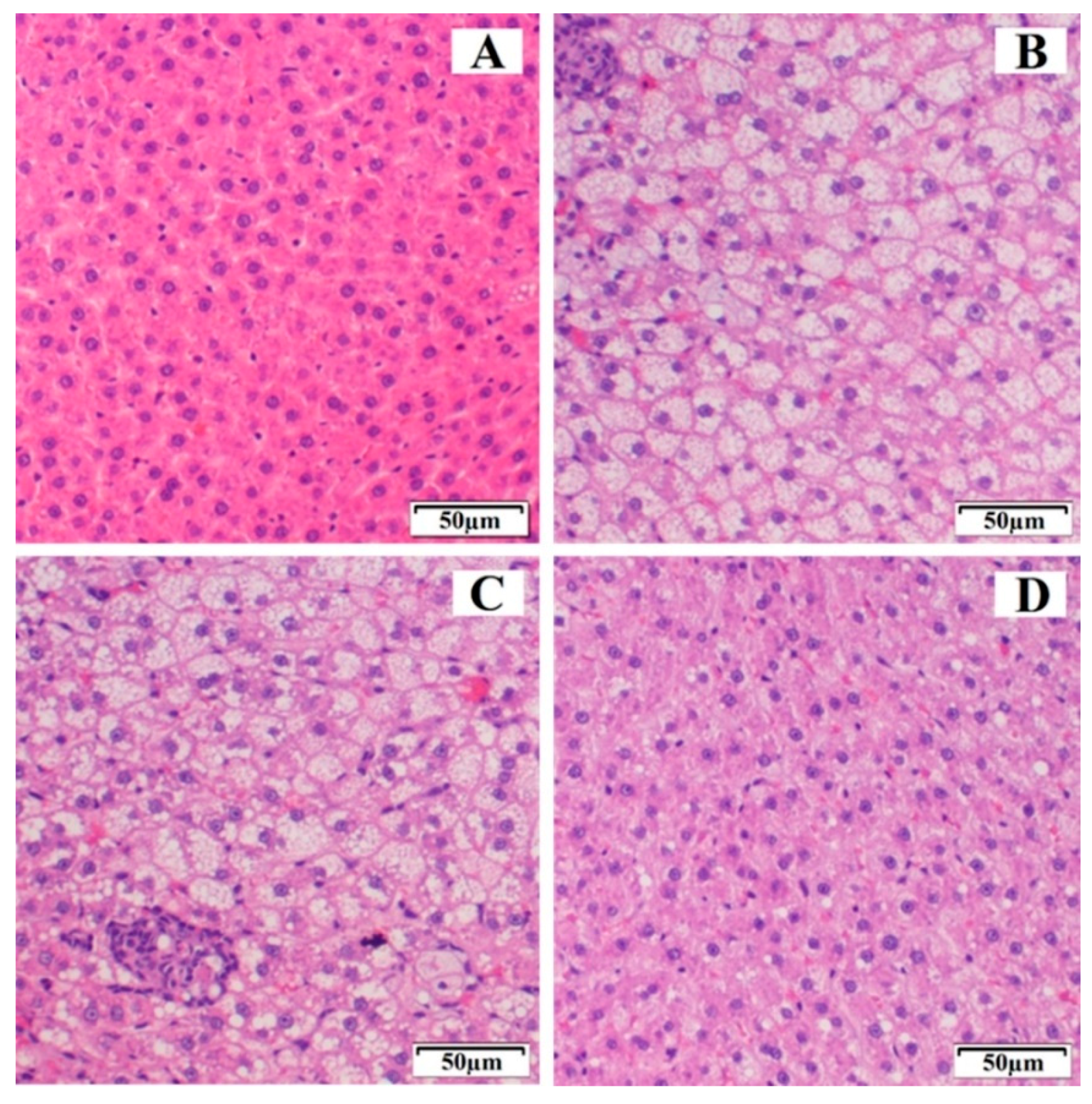 Pharmaceutics 11 00647 g006 Pharmaceutics 11 00647 g006