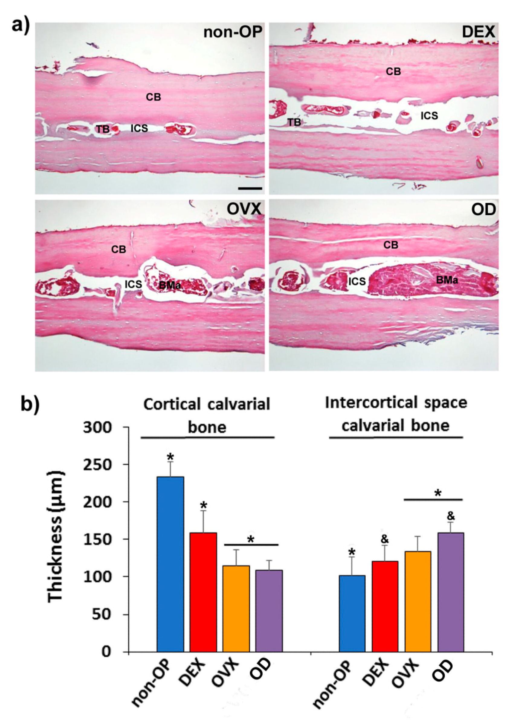 Pharmaceutics 11 00648 g006