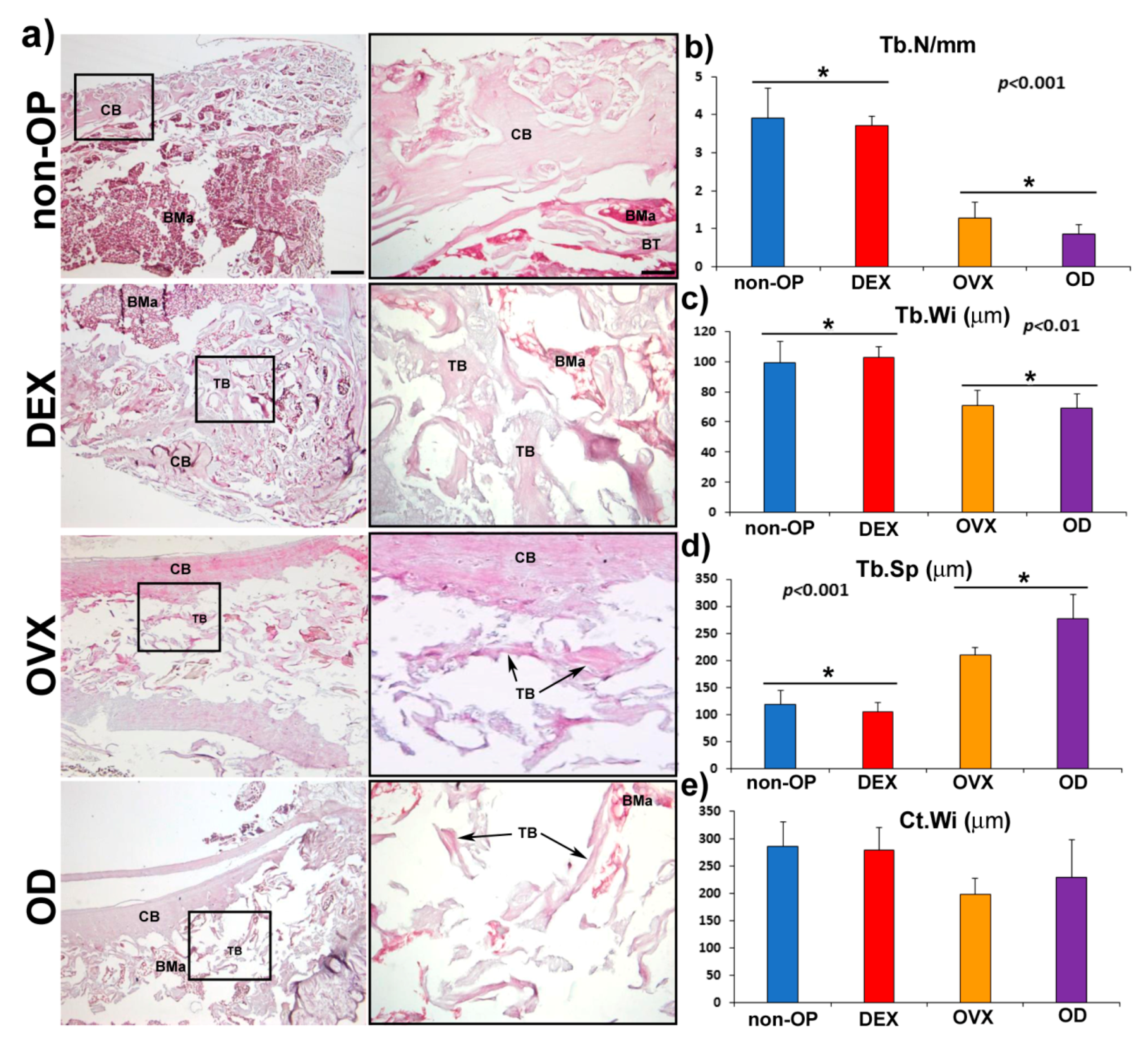 Pharmaceutics 11 00648 g007