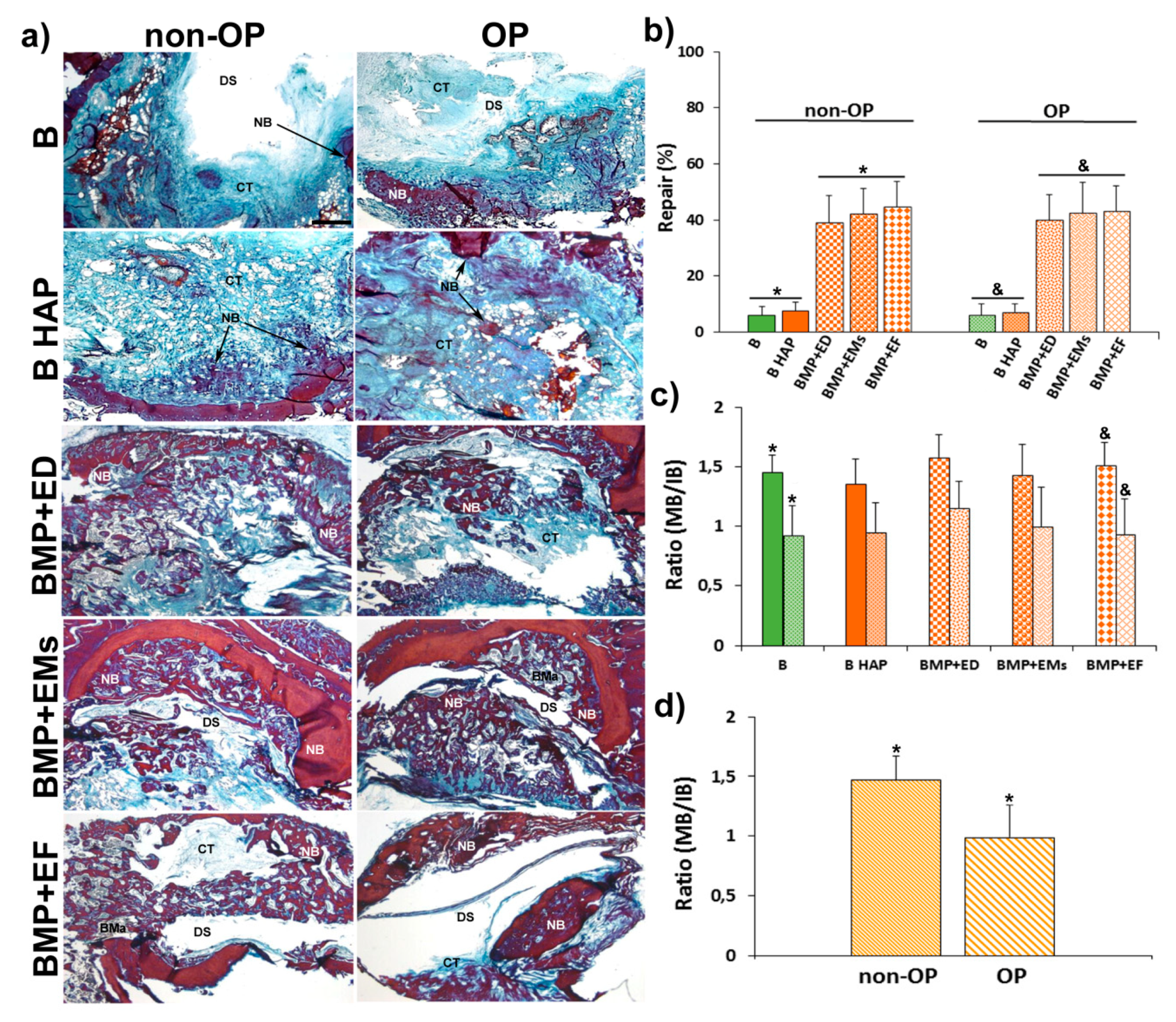 Pharmaceutics 11 00648 g008