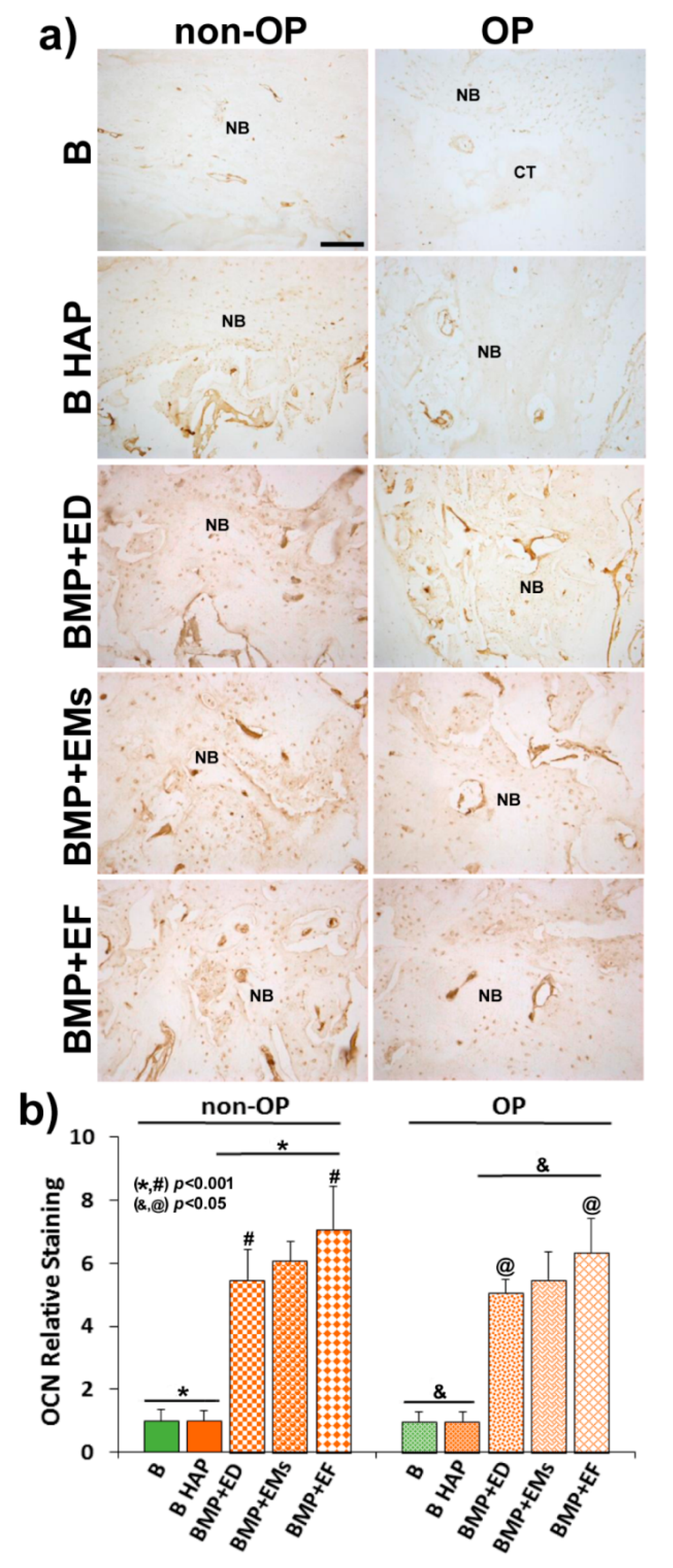 Pharmaceutics 11 00648 g009