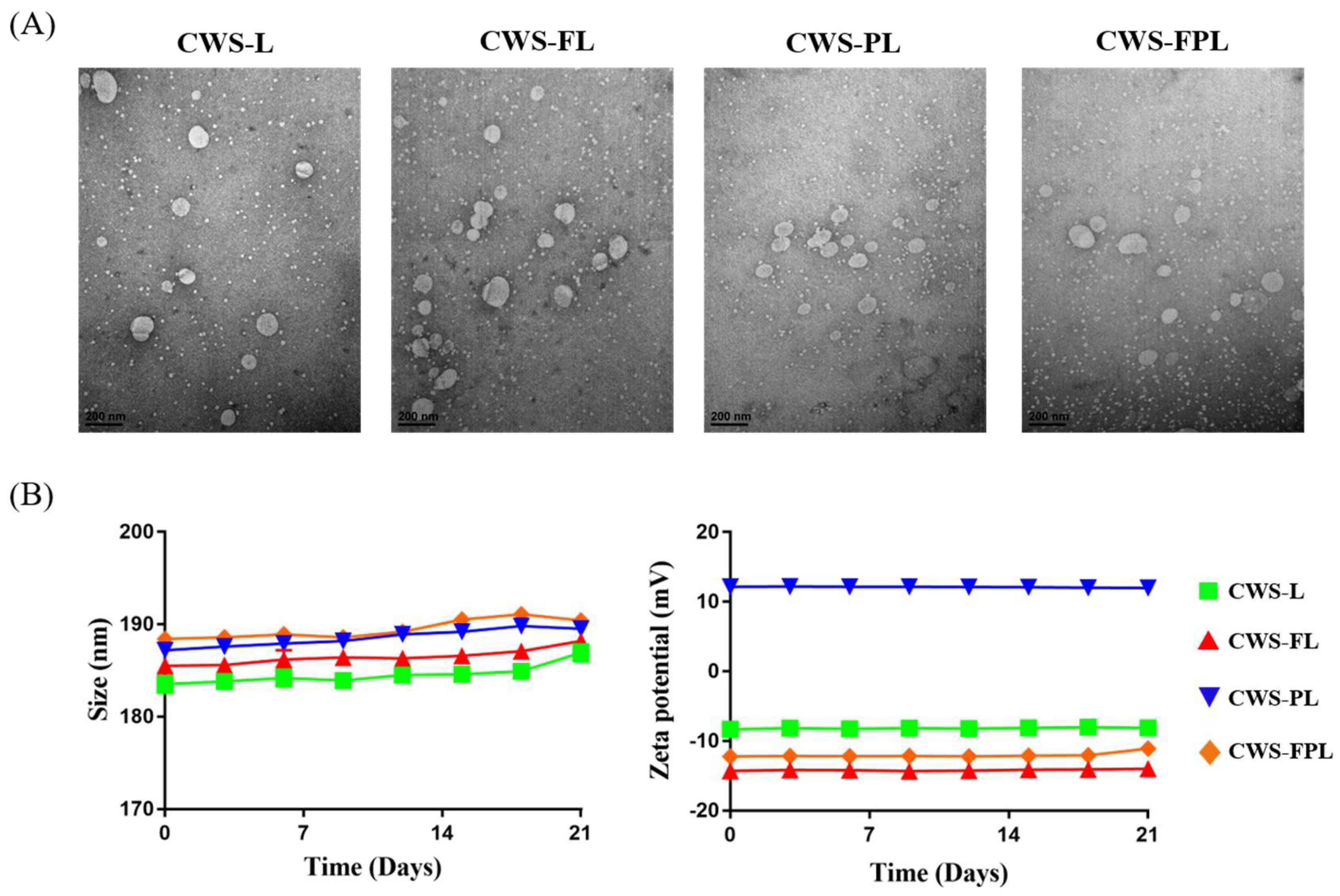 Pharmaceutics 11 00652 g001