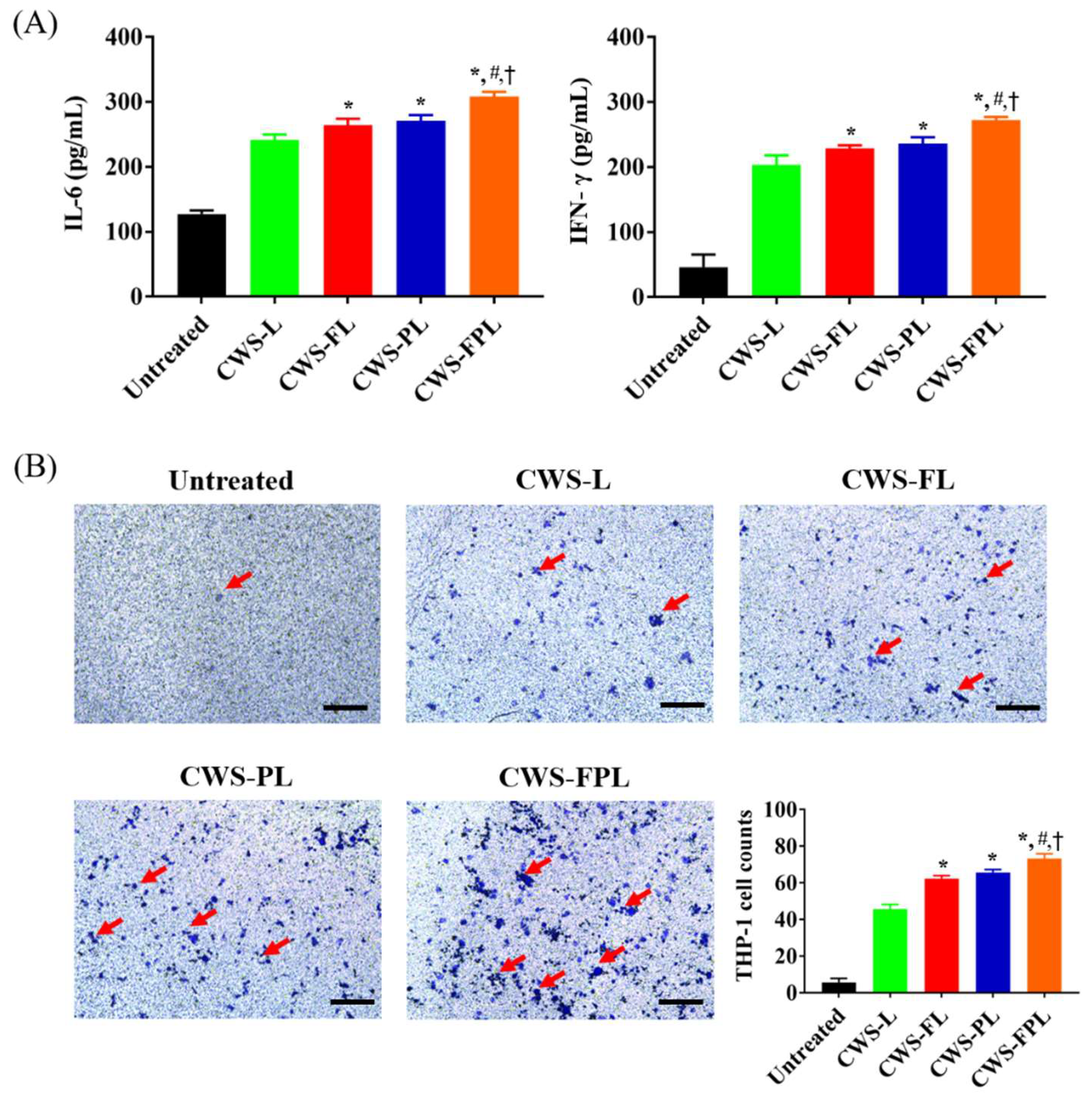 Pharmaceutics 11 00652 g003