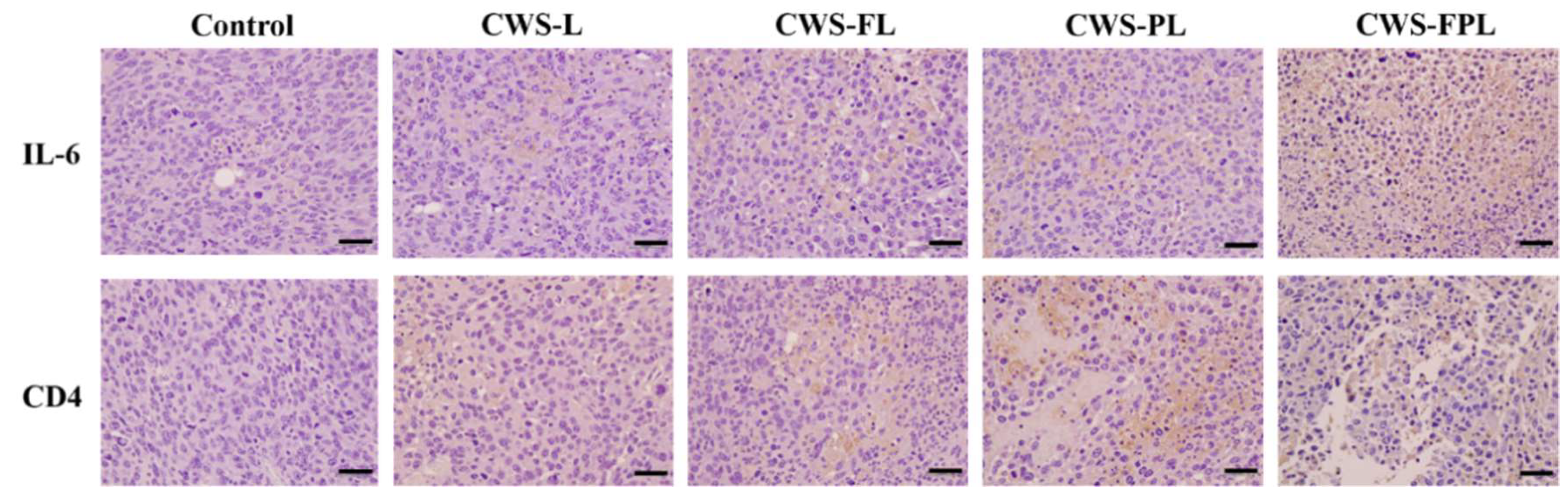Pharmaceutics 11 00652 g005