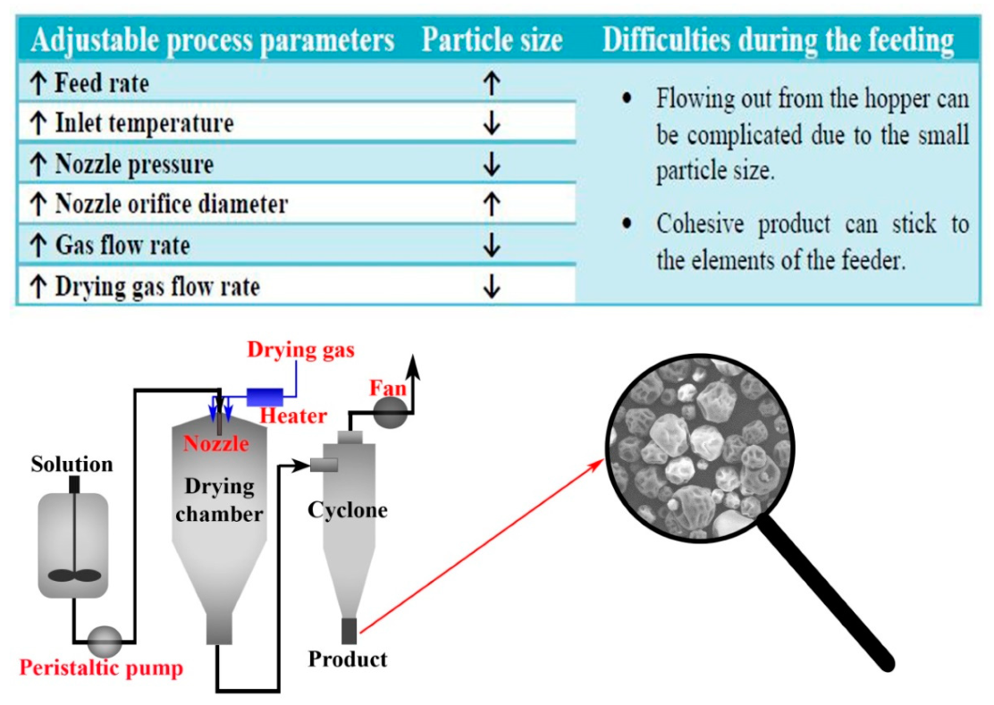 Pharmaceutics 11 00654 g005