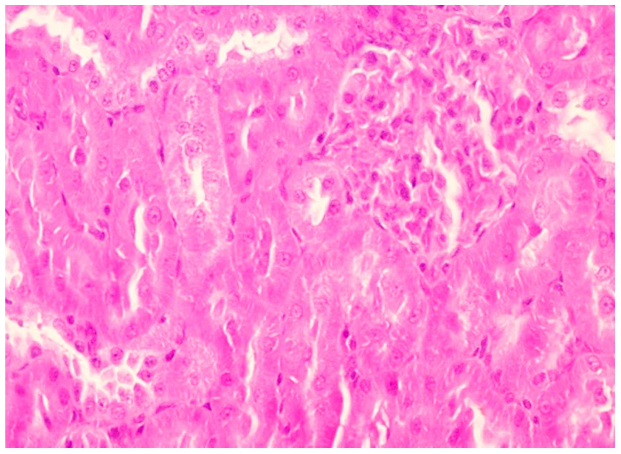 Pharmaceutics 11 00656 g003 Pharmaceutics 11 00656 g003