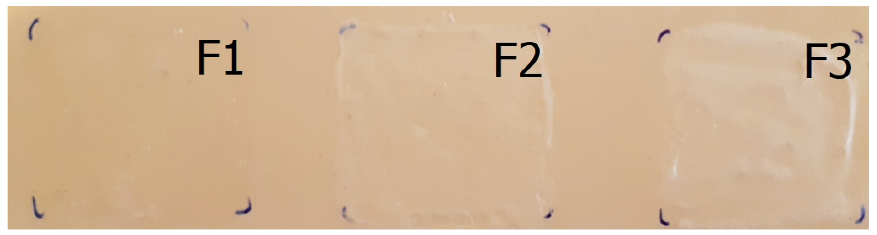 Pharmaceutics 11 00660 g007