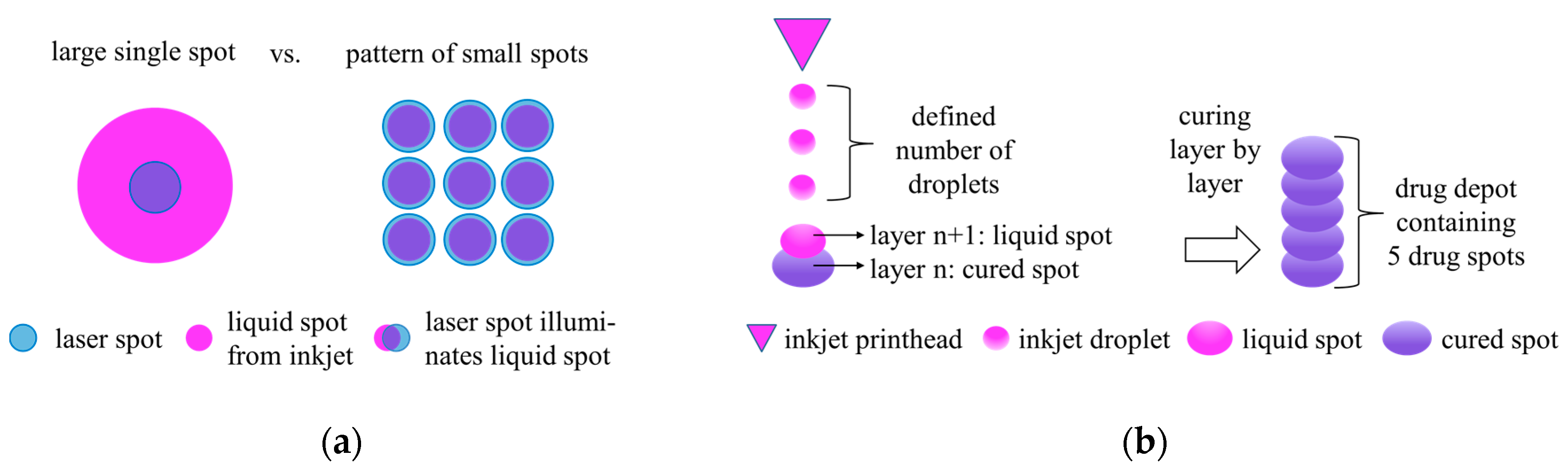 Pharmaceutics 11 00661 g002 Pharmaceutics 11 00661 g002