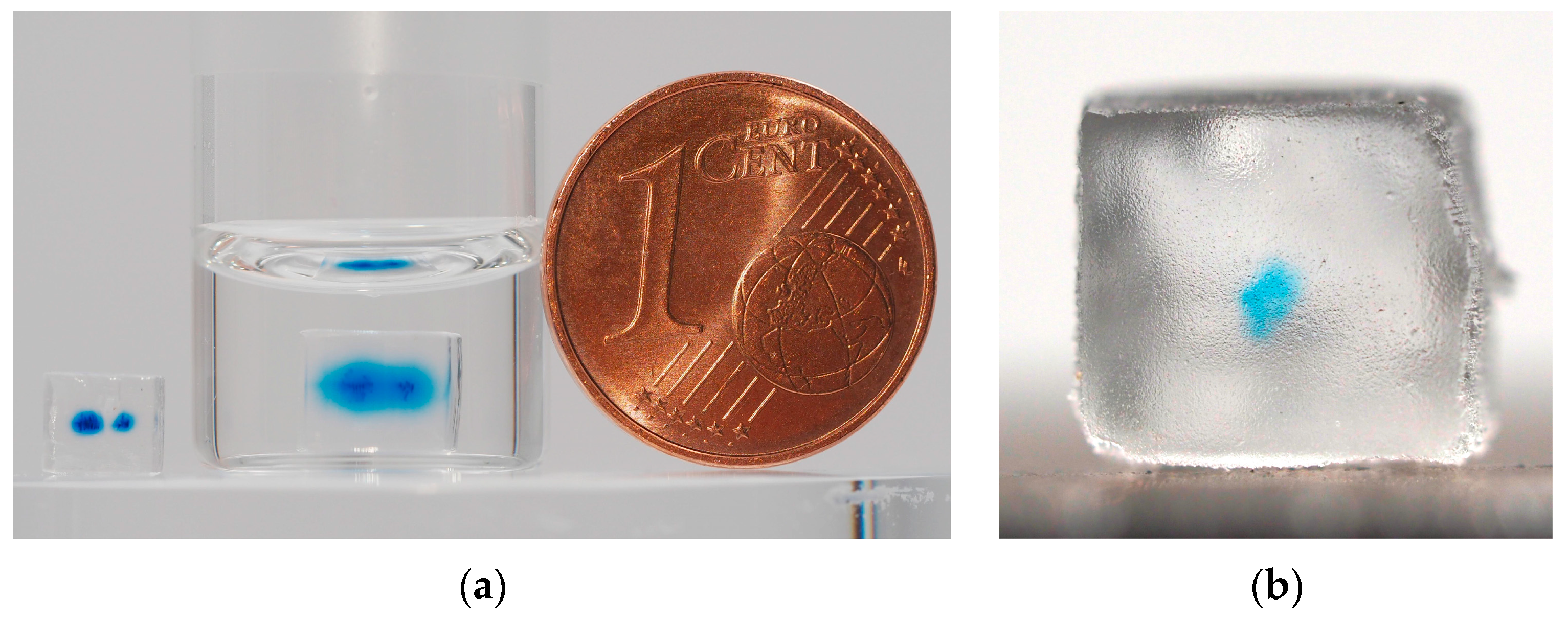 Pharmaceutics 11 00661 g007 Pharmaceutics 11 00661 g007