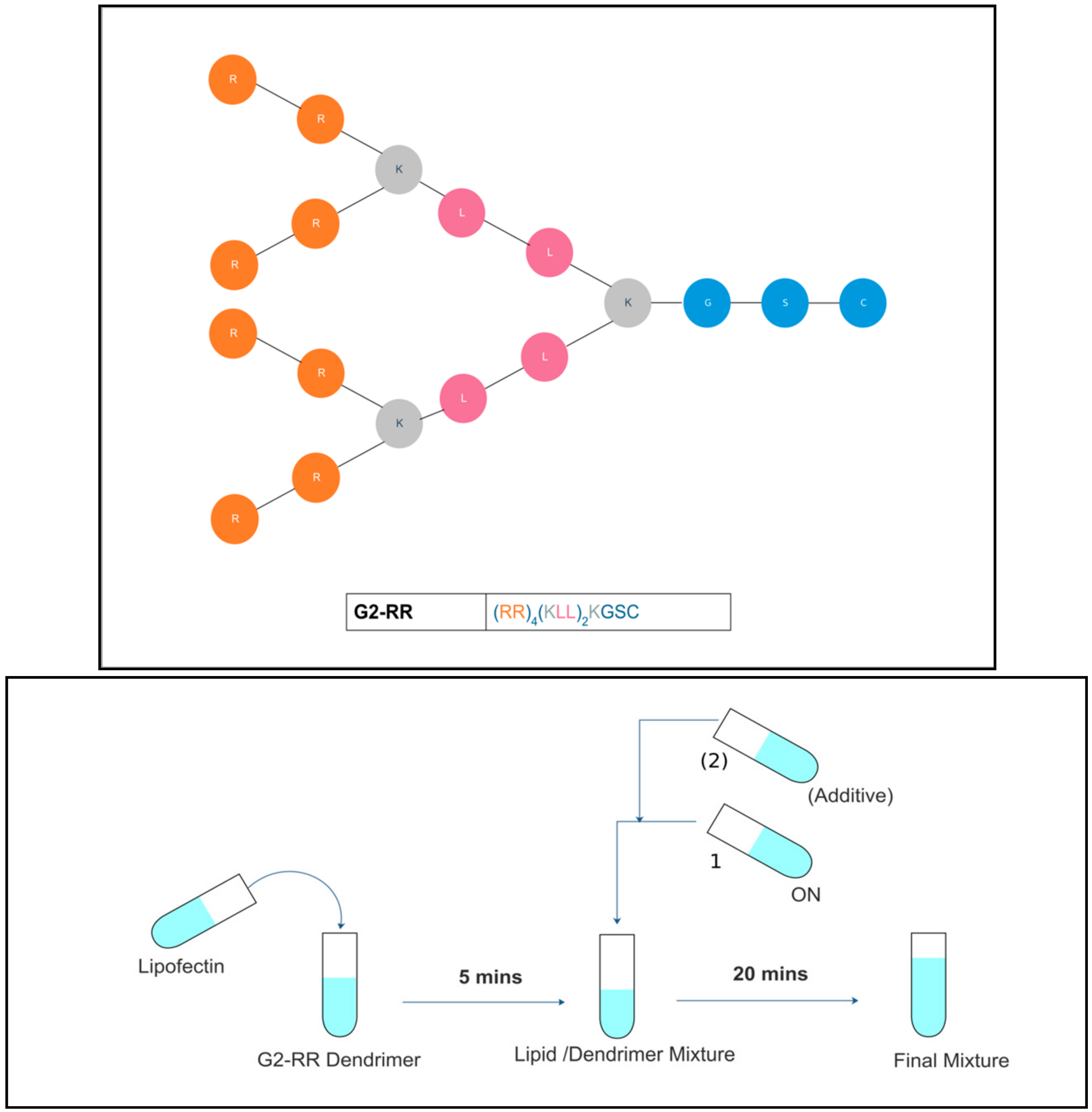 Pharmaceutics 11 00666 g001 Pharmaceutics 11 00666 g001