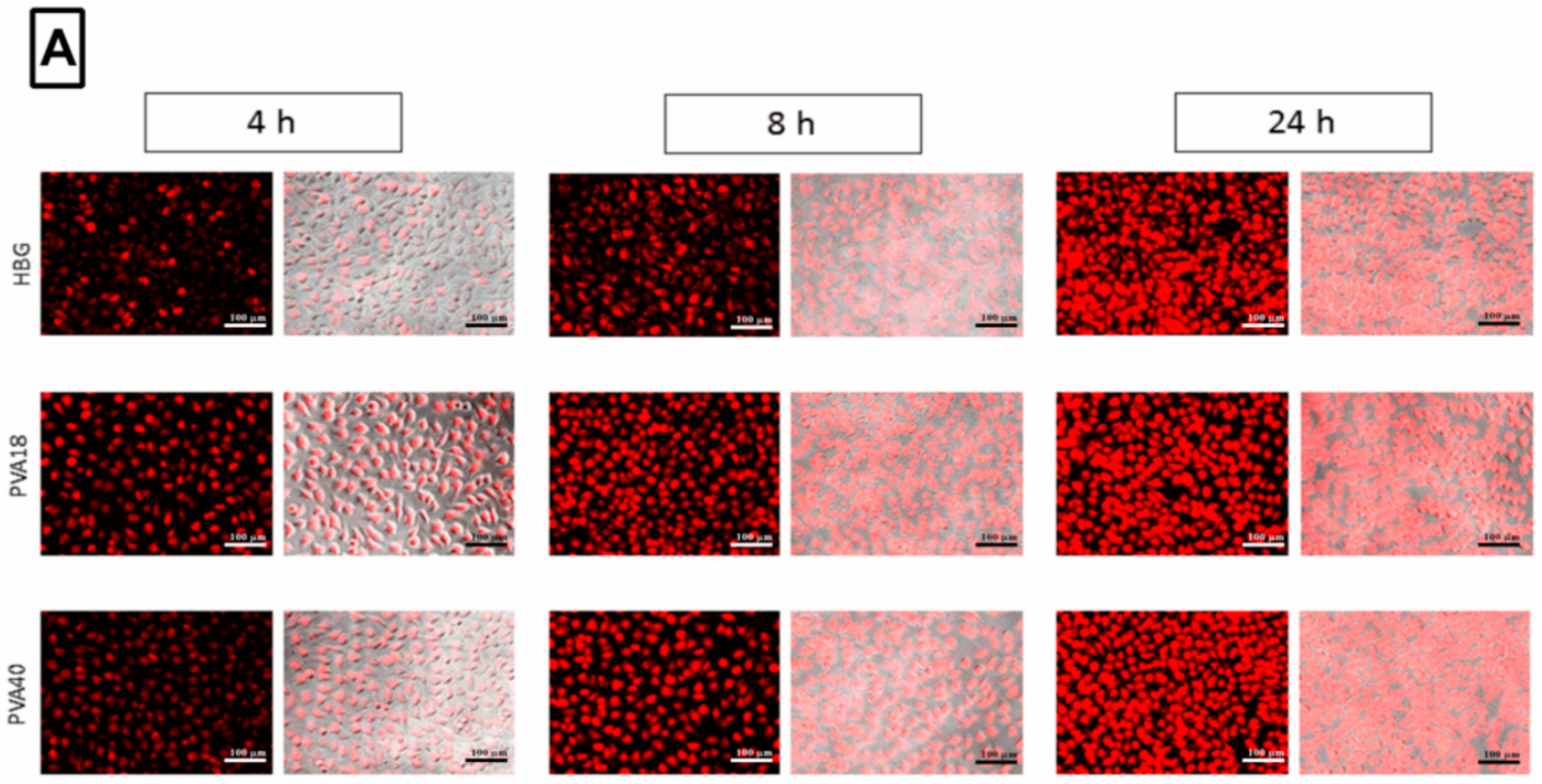 Pharmaceutics 11 00666 g005a Pharmaceutics 11 00666 g005a