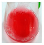 Pharmaceutics 11 00667 i001