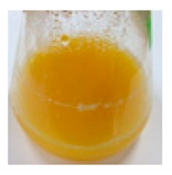 Pharmaceutics 11 00667 i002