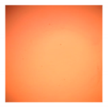 Pharmaceutics 11 00667 i004