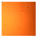 Pharmaceutics 11 00667 i005