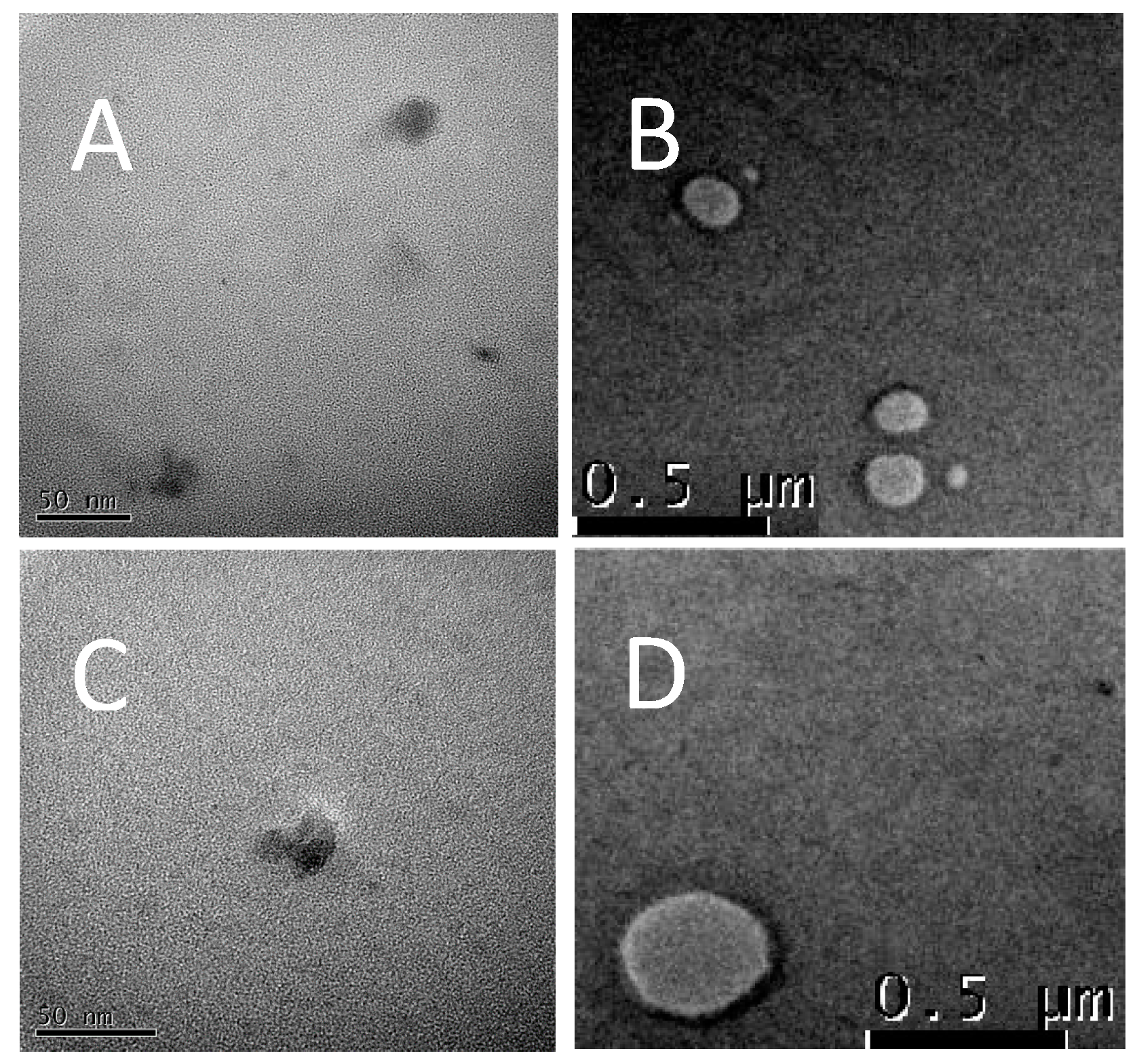 Pharmaceutics 11 00675 g007 Pharmaceutics 11 00675 g007