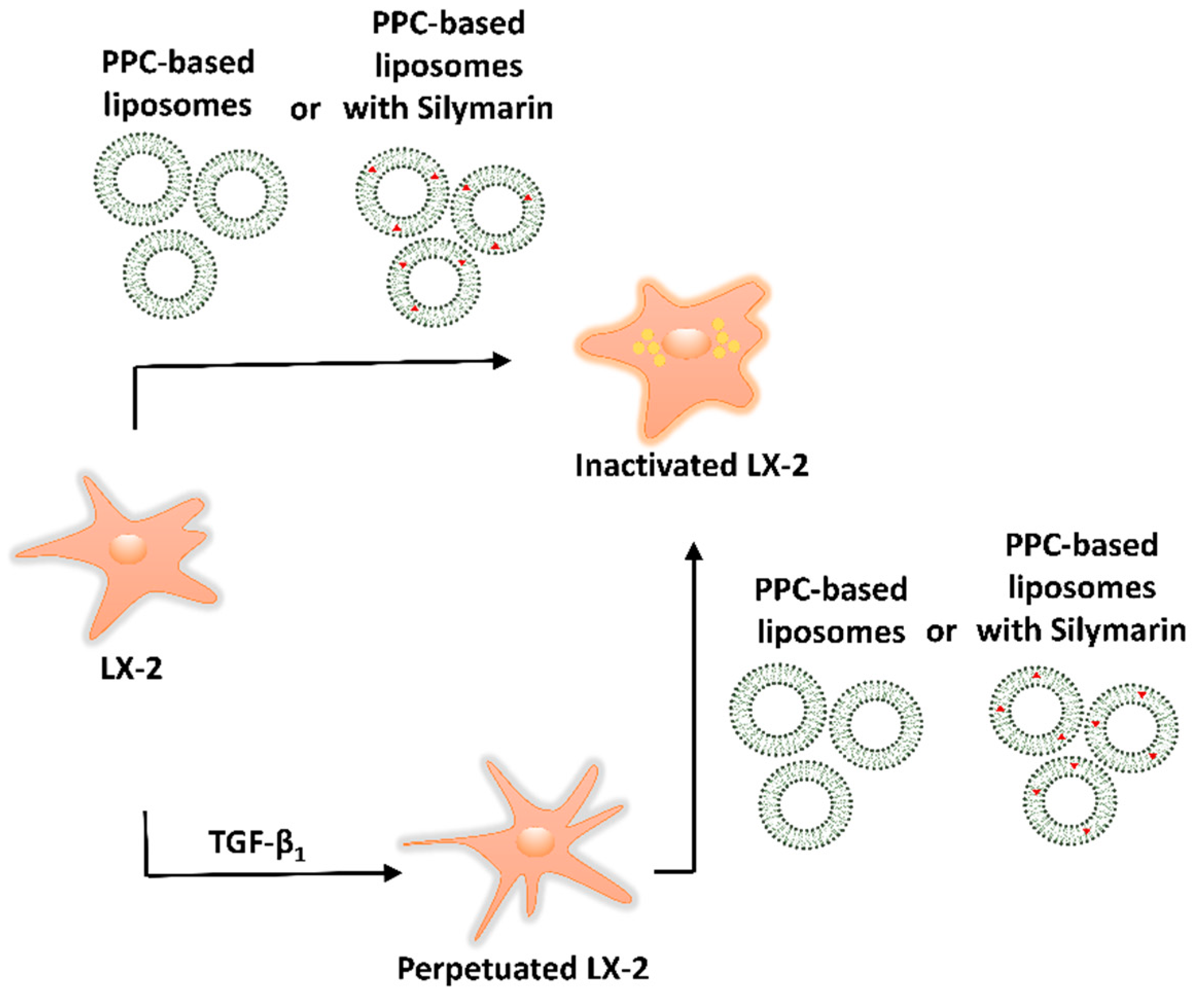 Pharmaceutics 11 00676 sch002