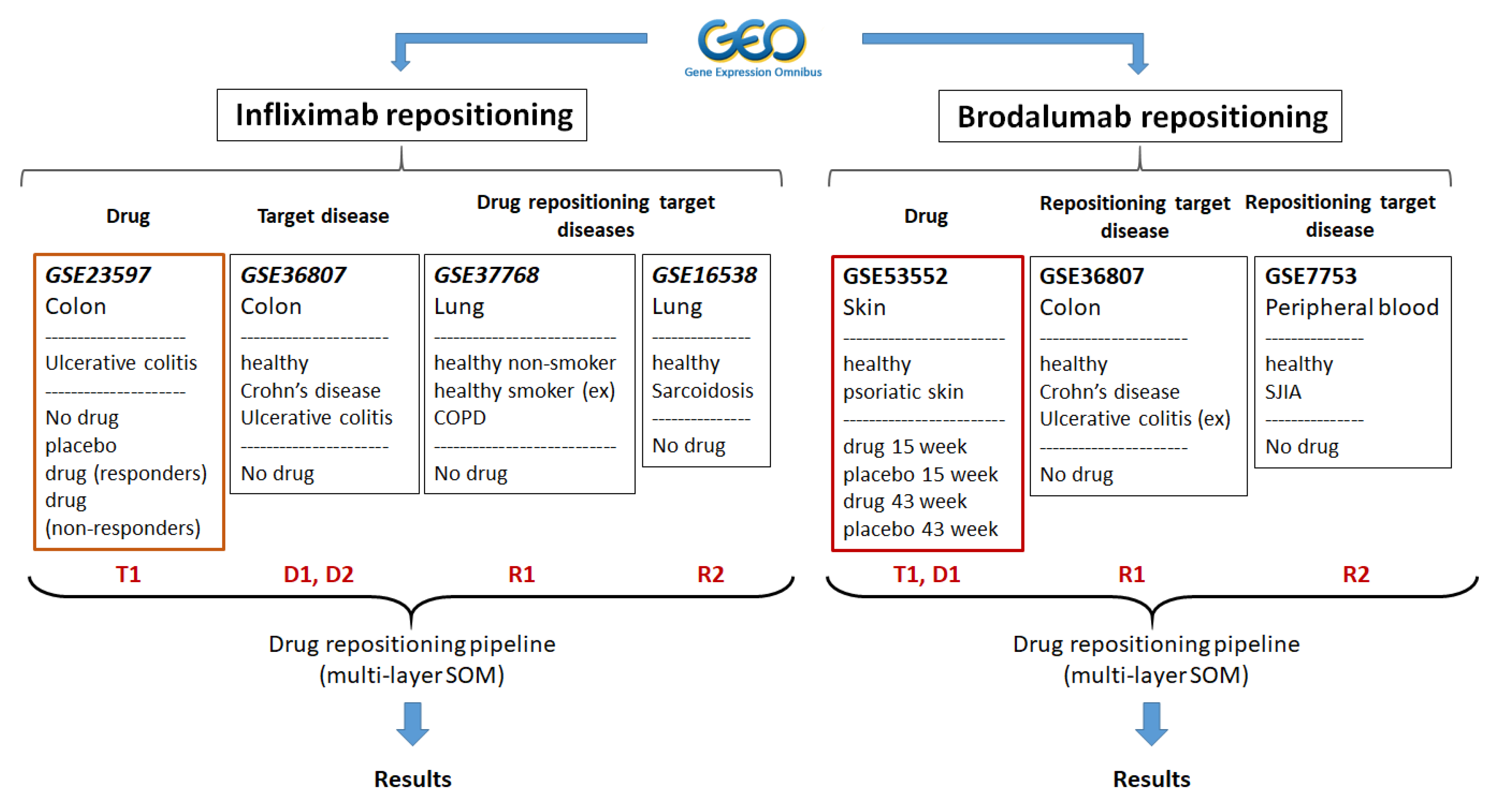 Pharmaceutics 11 00677 g001
