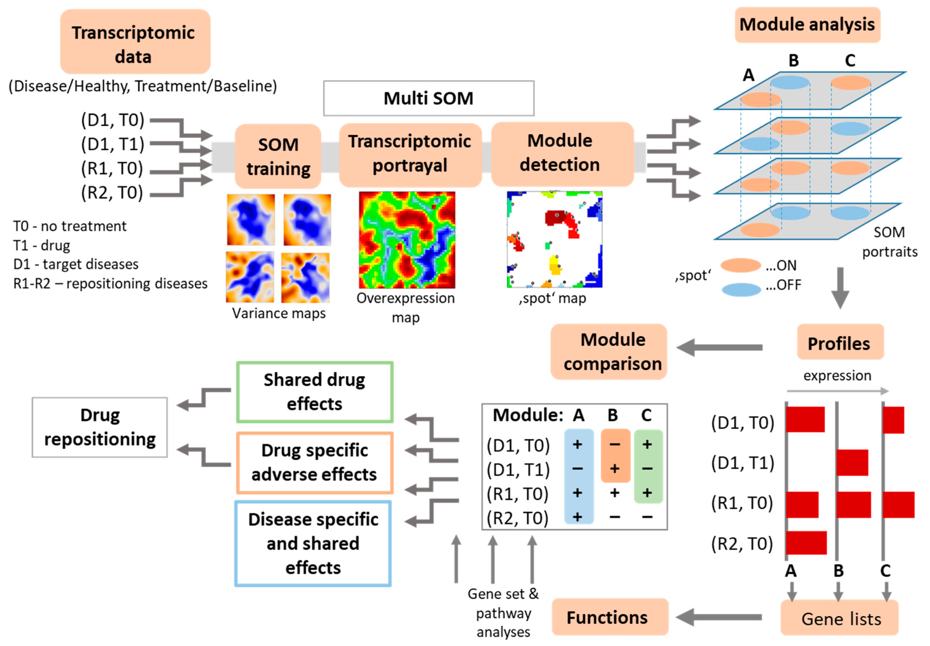 Pharmaceutics 11 00677 g002