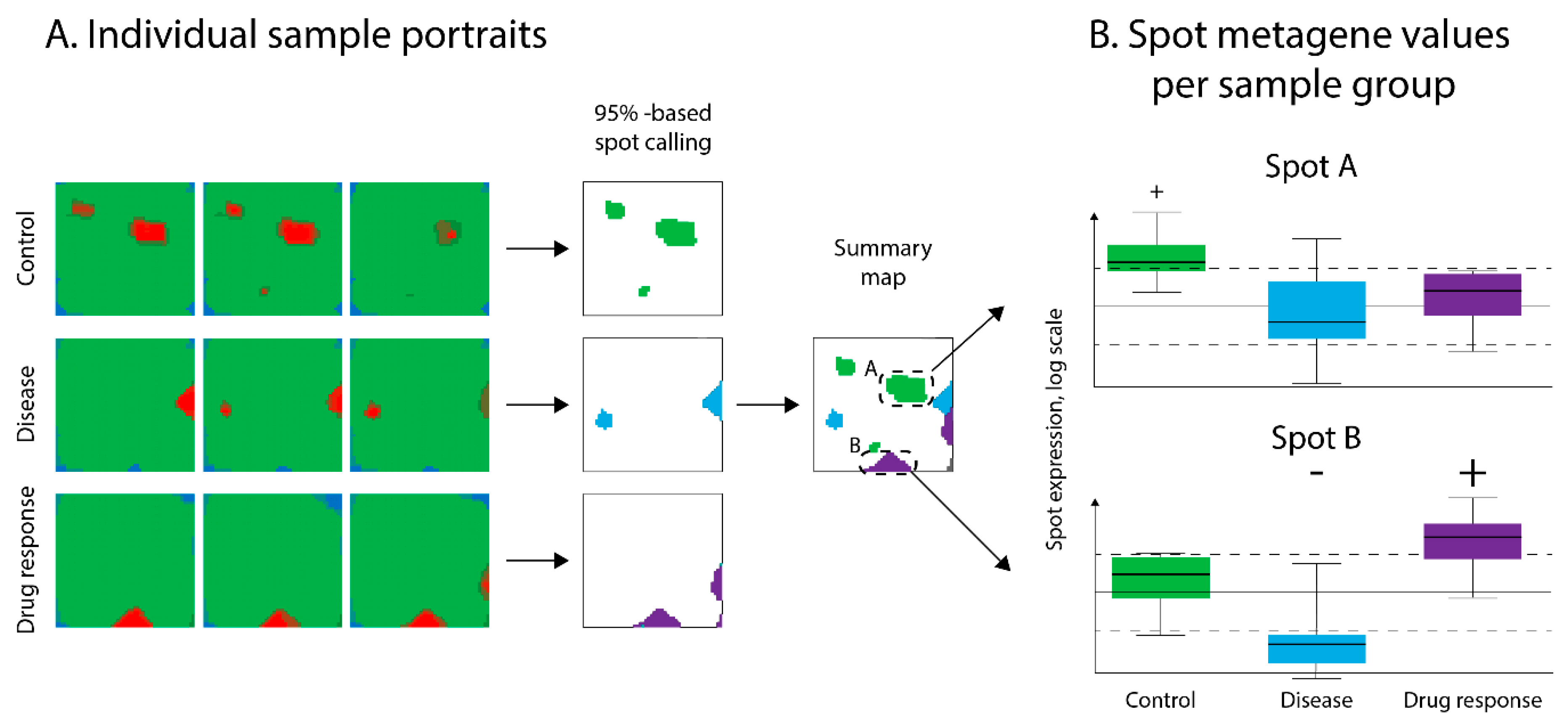 Pharmaceutics 11 00677 g003