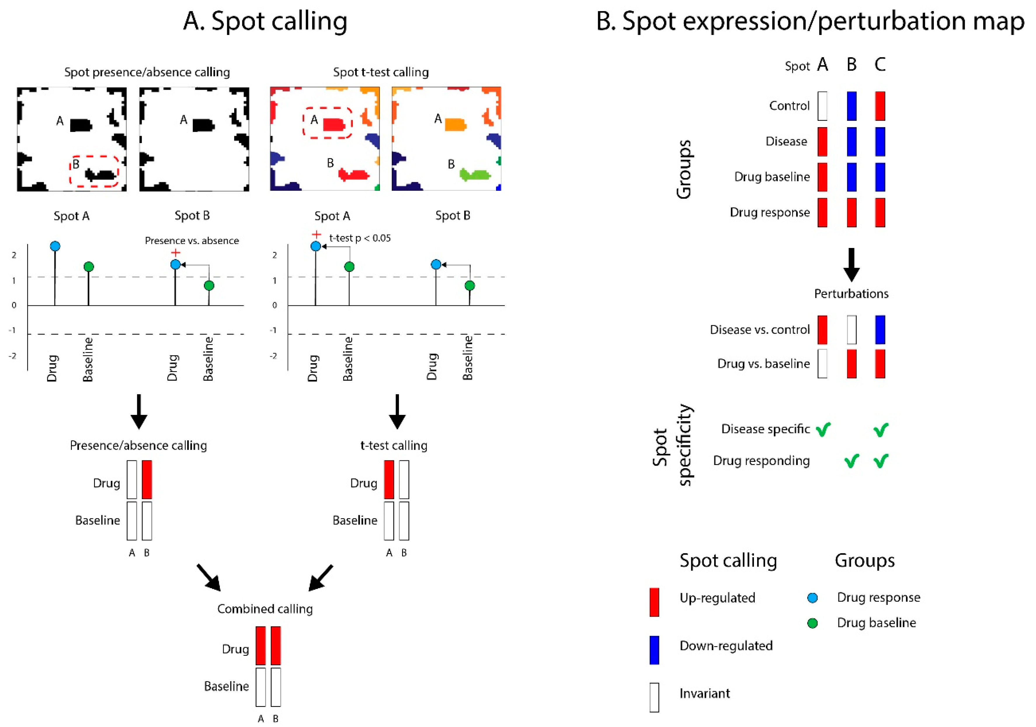 Pharmaceutics 11 00677 g004