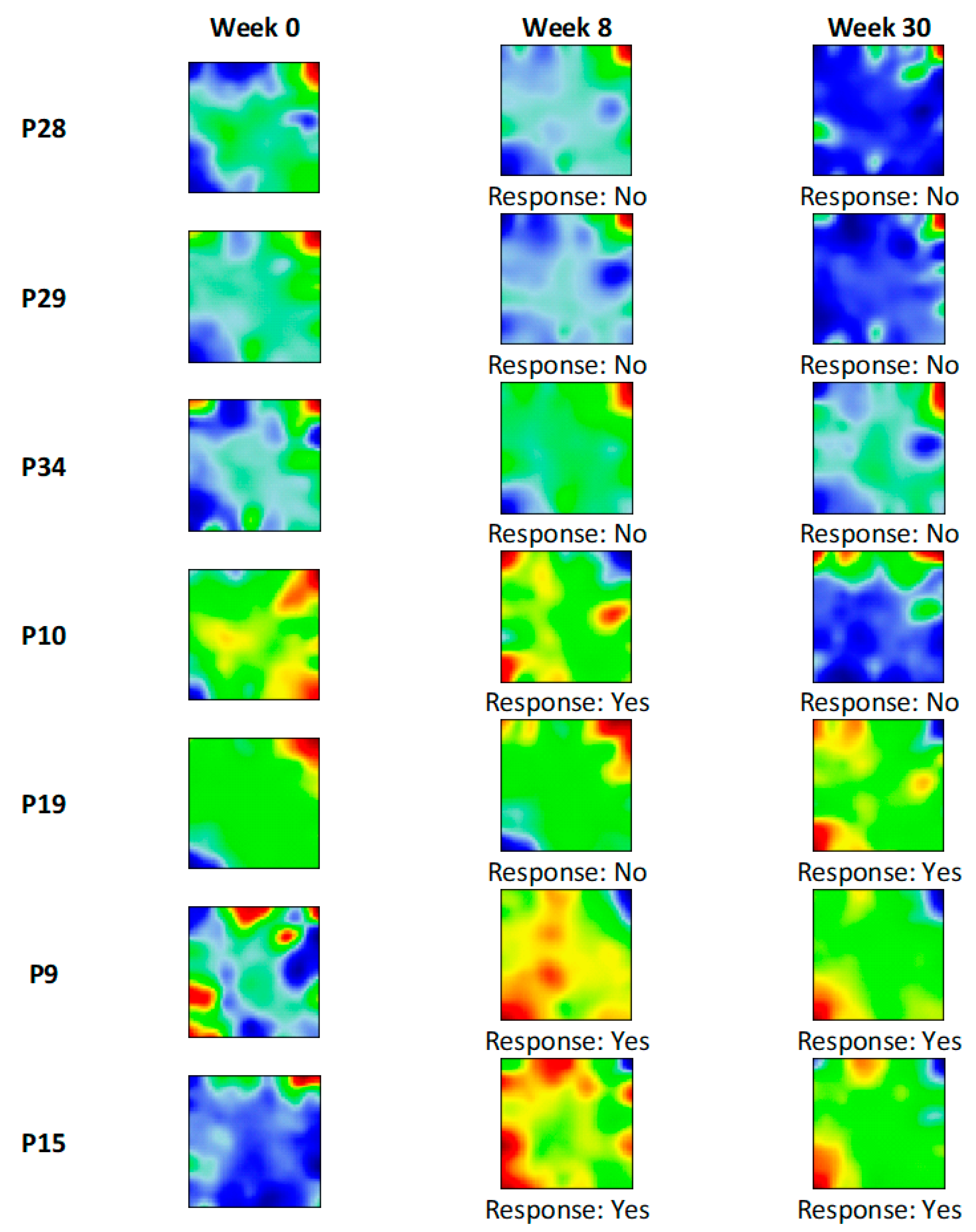 Pharmaceutics 11 00677 g006