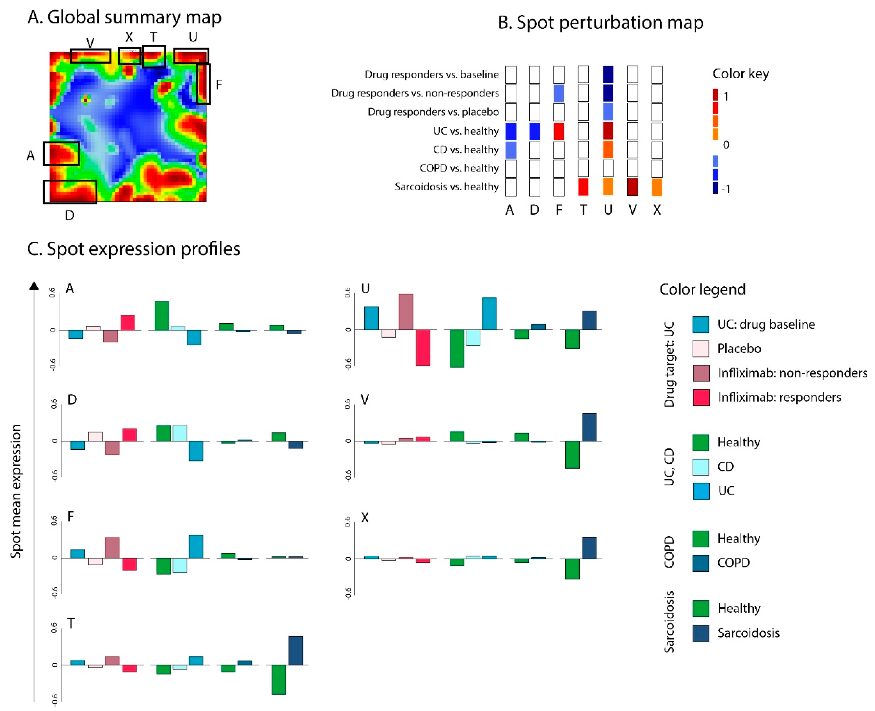 Pharmaceutics 11 00677 g007
