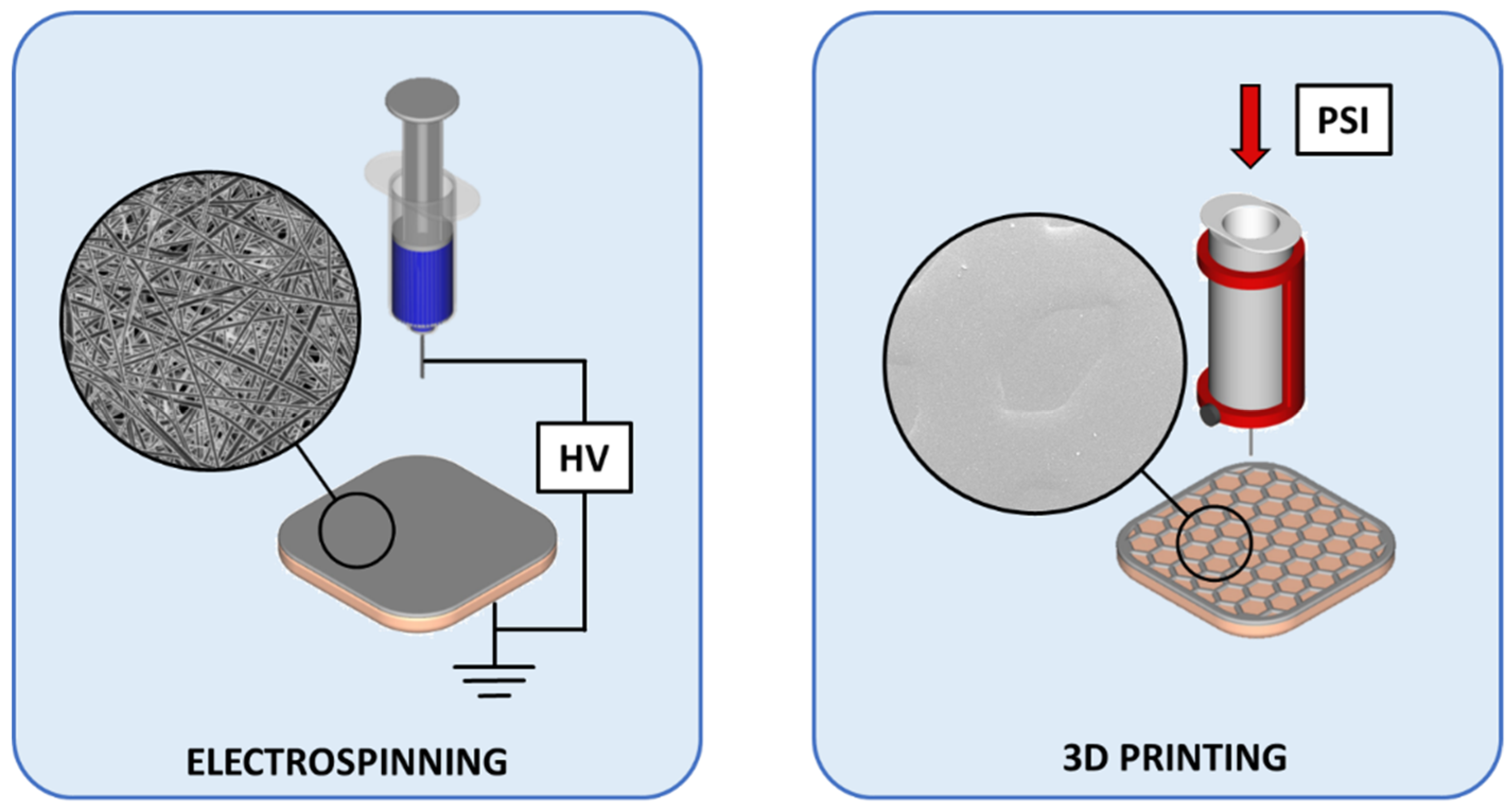 Pharmaceutics 11 00678 g002 Pharmaceutics 11 00678 g002