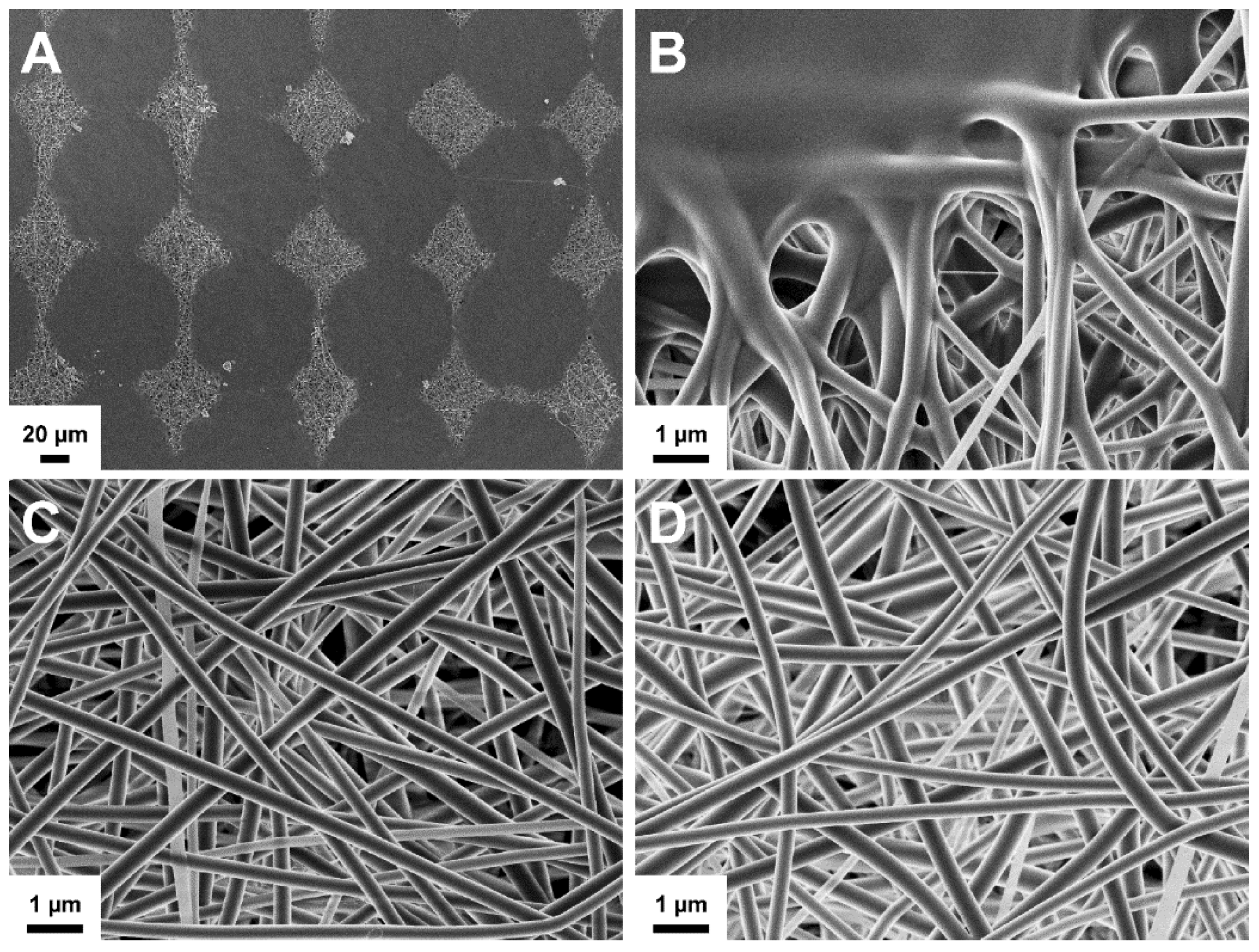 Pharmaceutics 11 00678 g009 Pharmaceutics 11 00678 g009