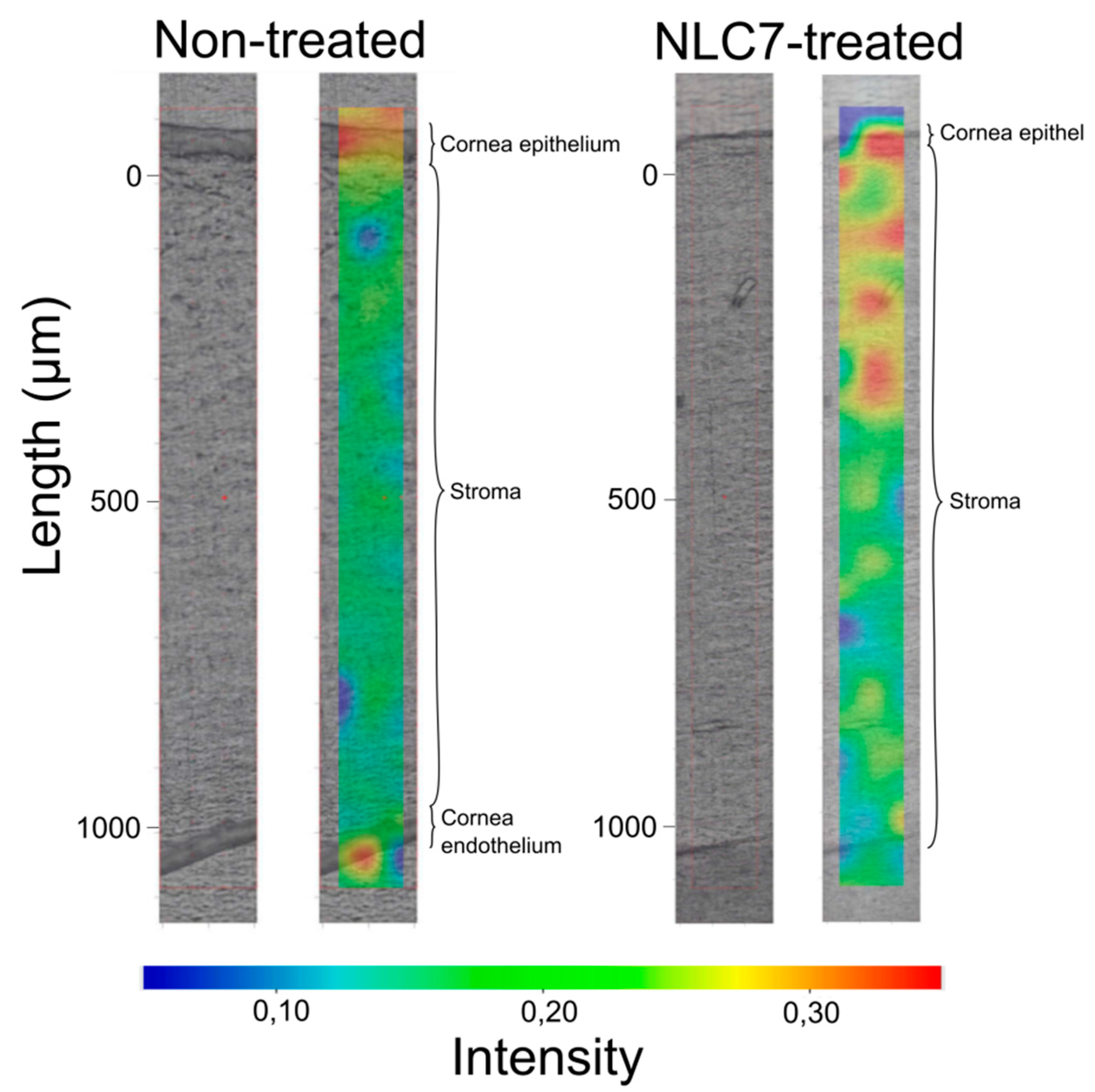 Pharmaceutics 11 00679 g005