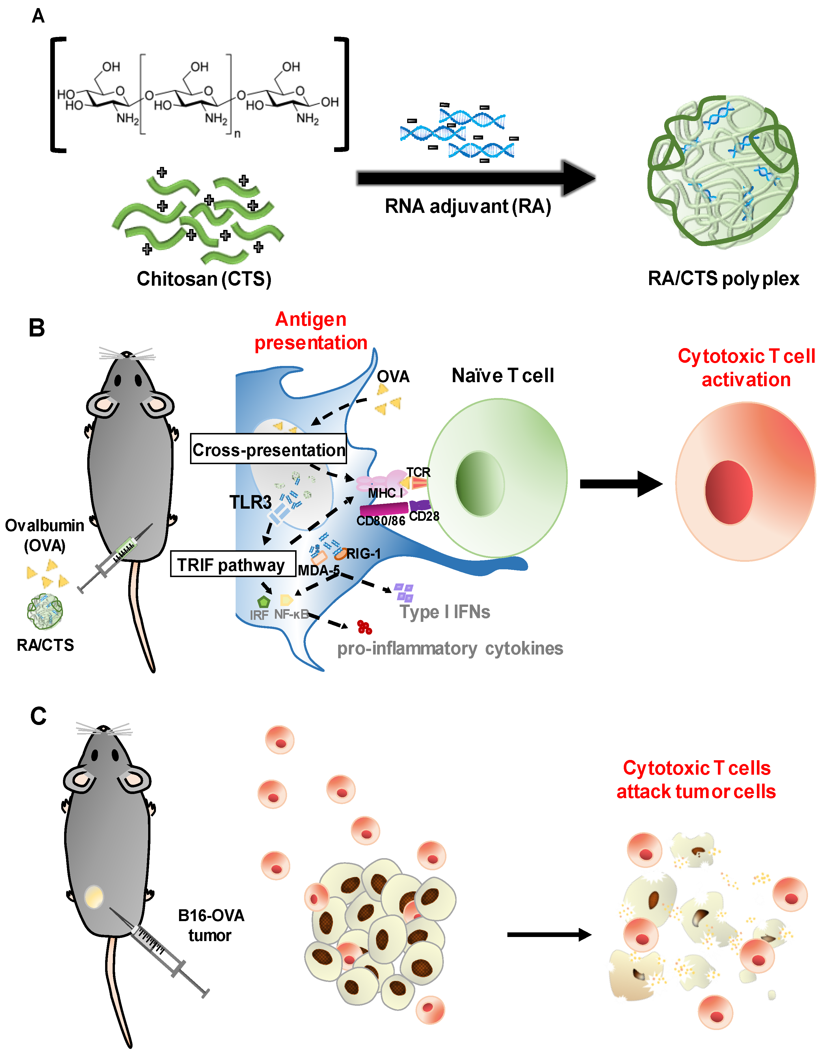 Pharmaceutics 11 00680 g001