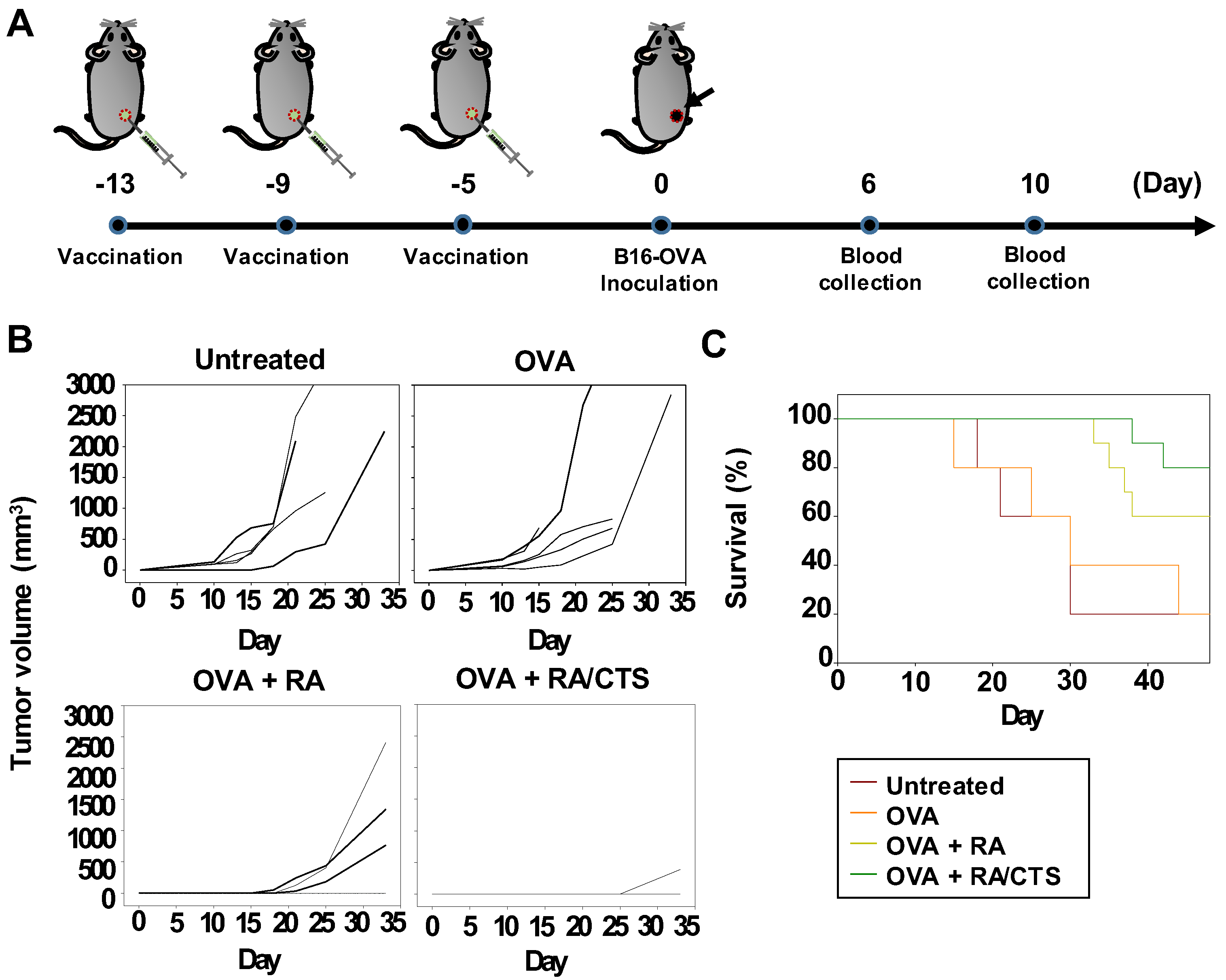 Pharmaceutics 11 00680 g006