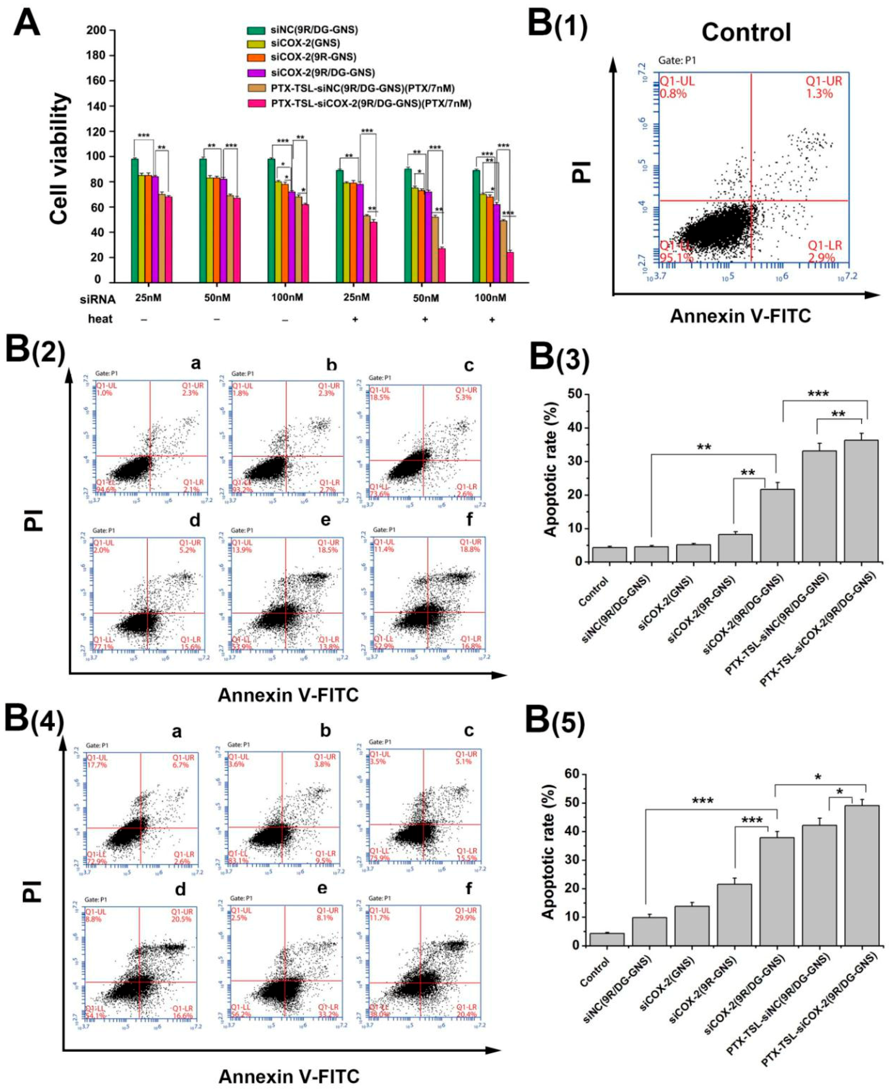 Pharmaceutics 11 00683 g007 Pharmaceutics 11 00683 g007