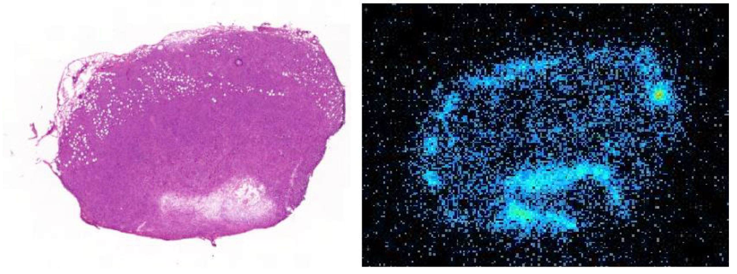 Pharmaceutics 11 00686 g006 Pharmaceutics 11 00686 g006