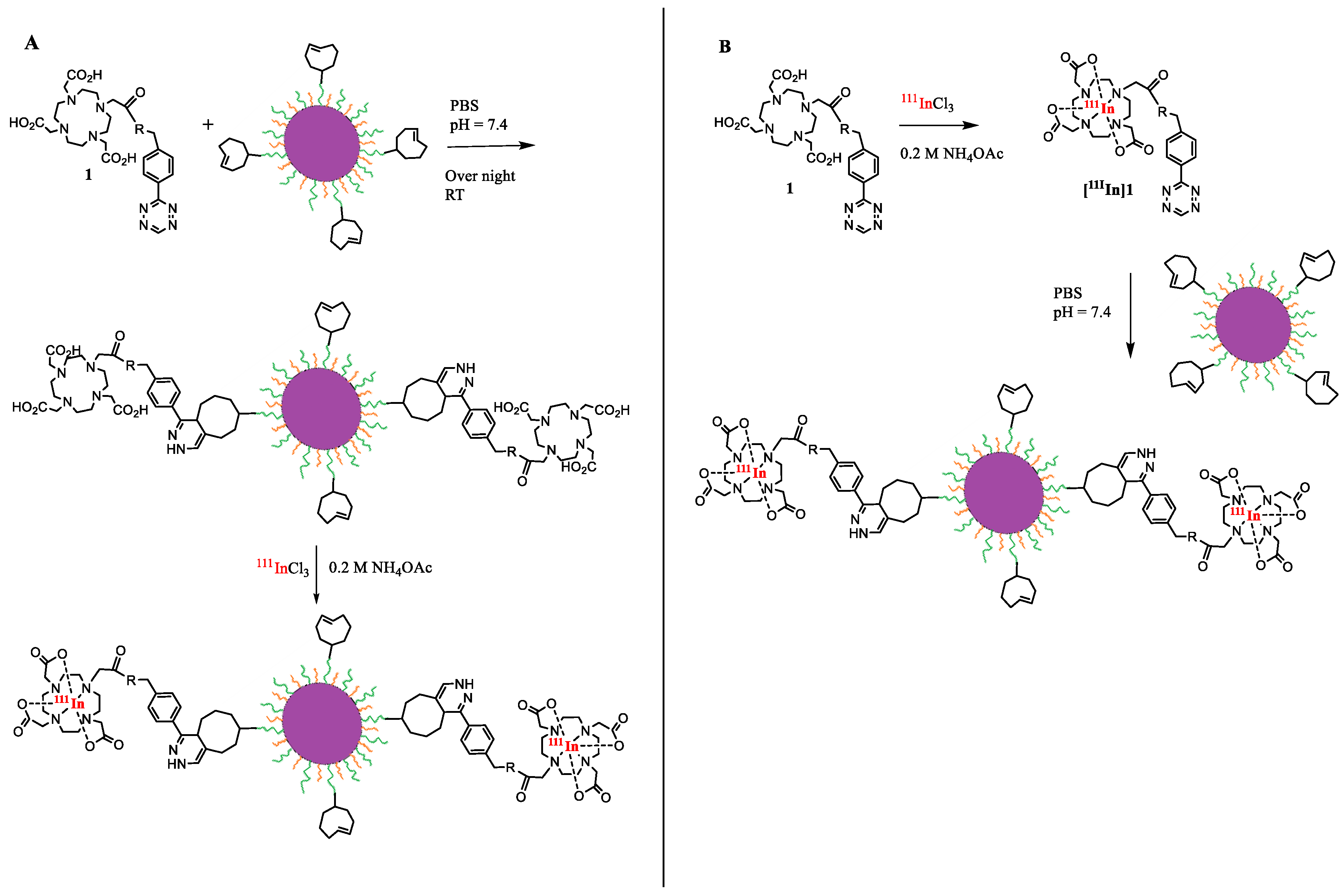 Pharmaceutics 11 00686 sch001 Pharmaceutics 11 00686 sch001