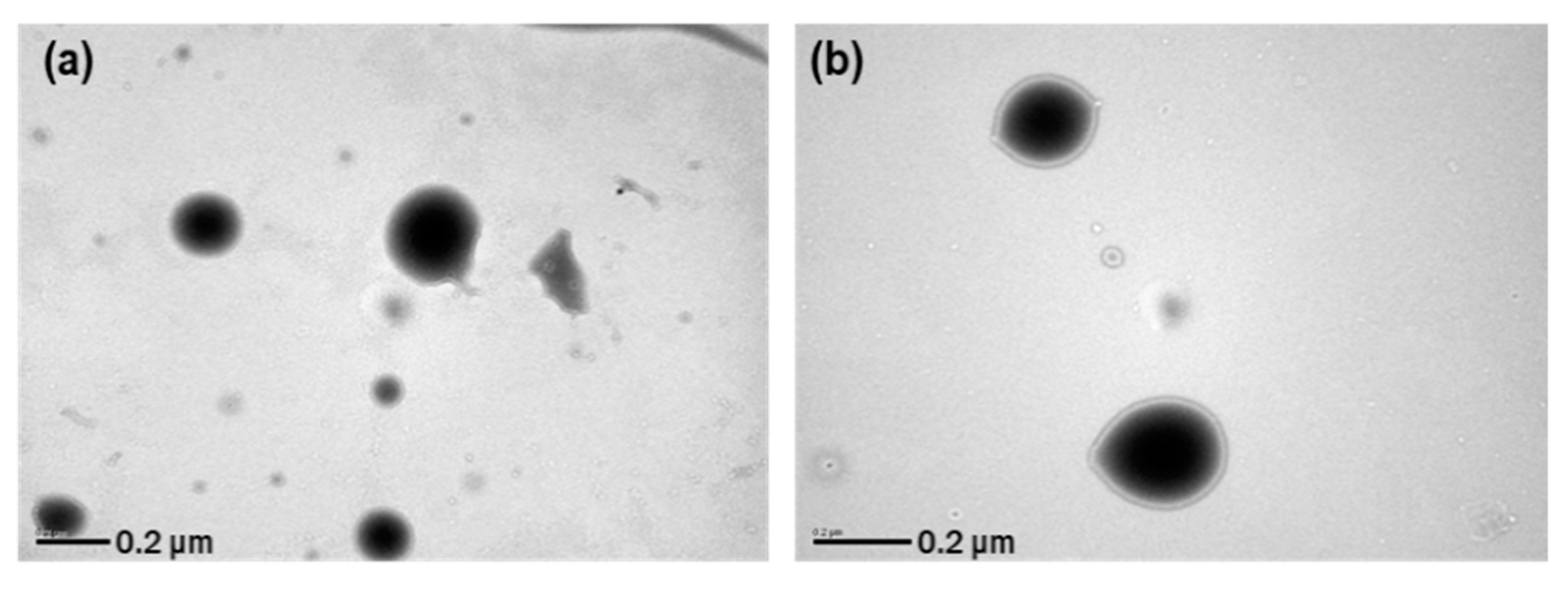 Pharmaceutics 11 00688 g009a