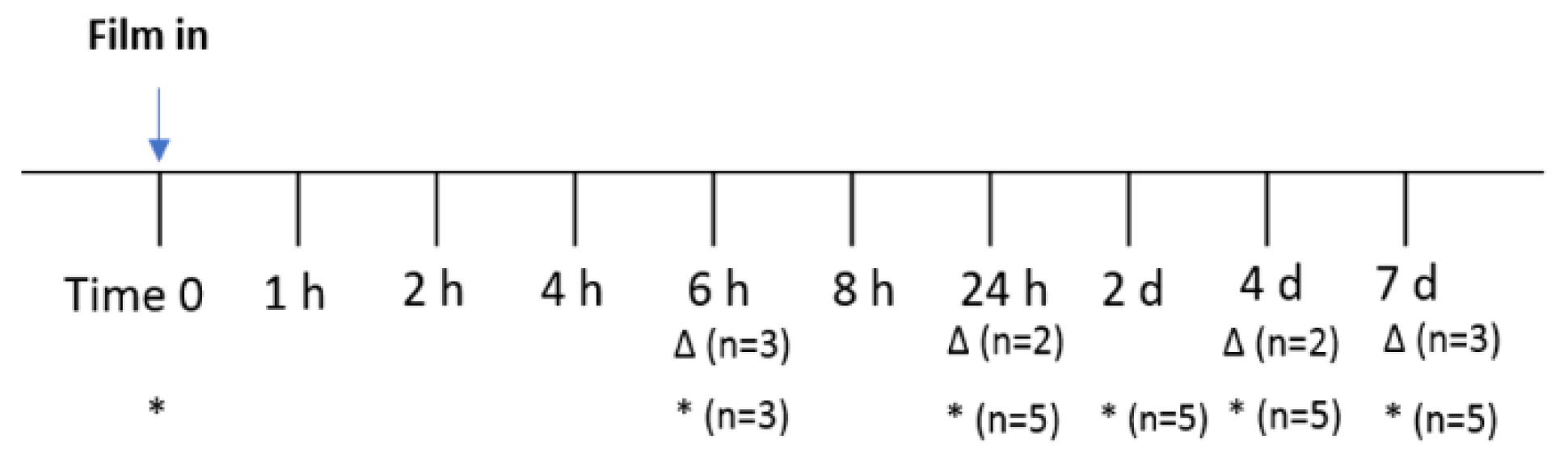 Pharmaceutics 12 00001 g001