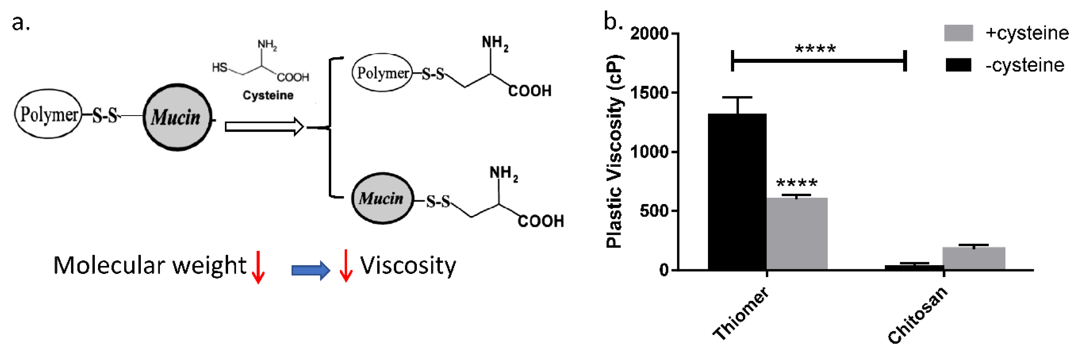 Pharmaceutics 12 00001 g002