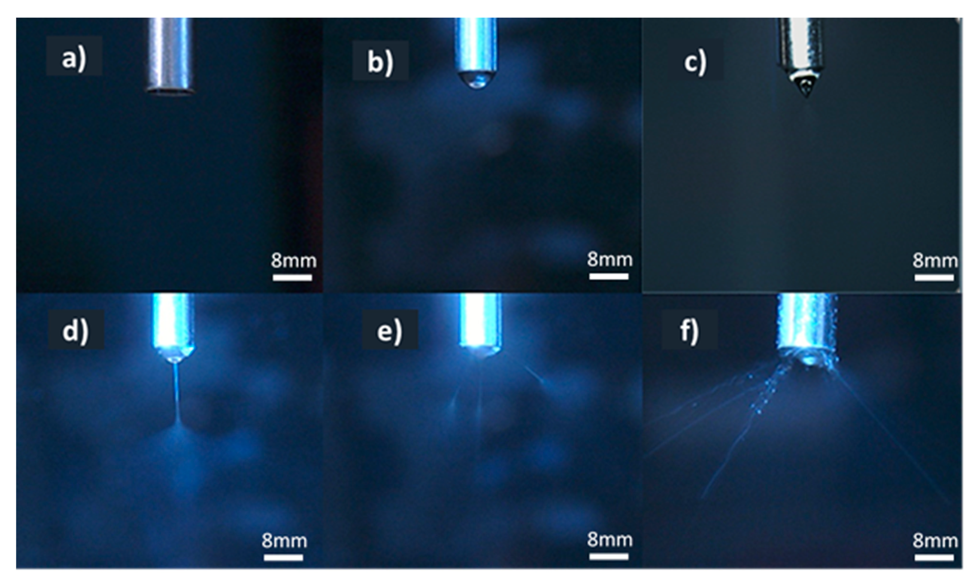 Pharmaceutics 12 00002 g001 Pharmaceutics 12 00002 g001